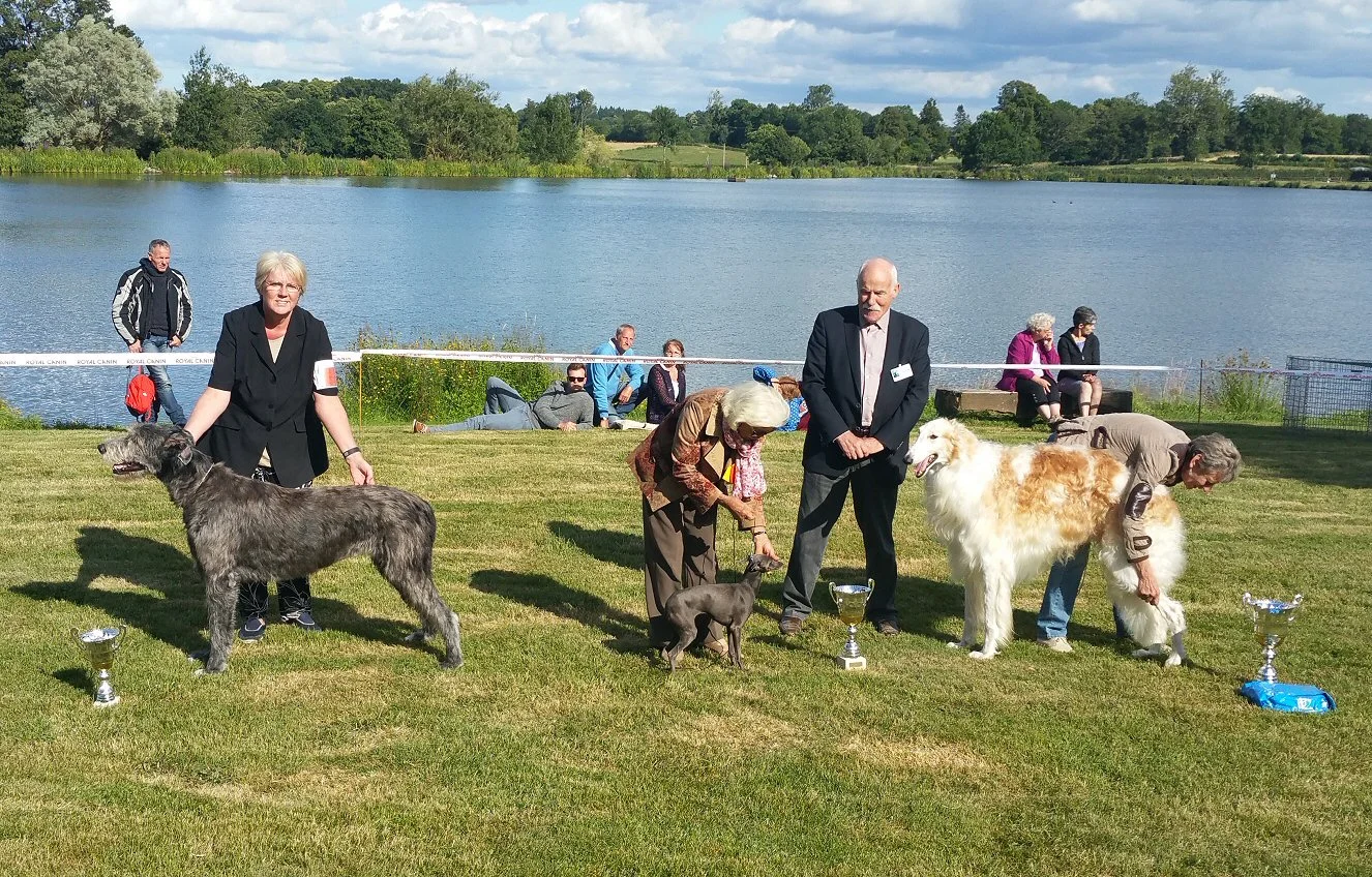 Here is Daisy winning her cup in the Group judging.