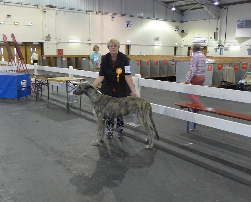 Tilly waiting to go in the ring.