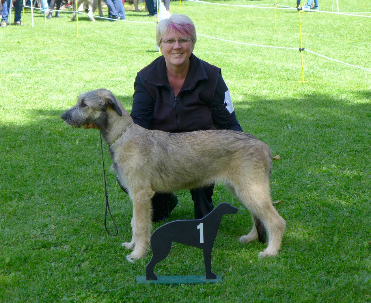 Spicy winning Best Puppy in show-what a fantastic day!