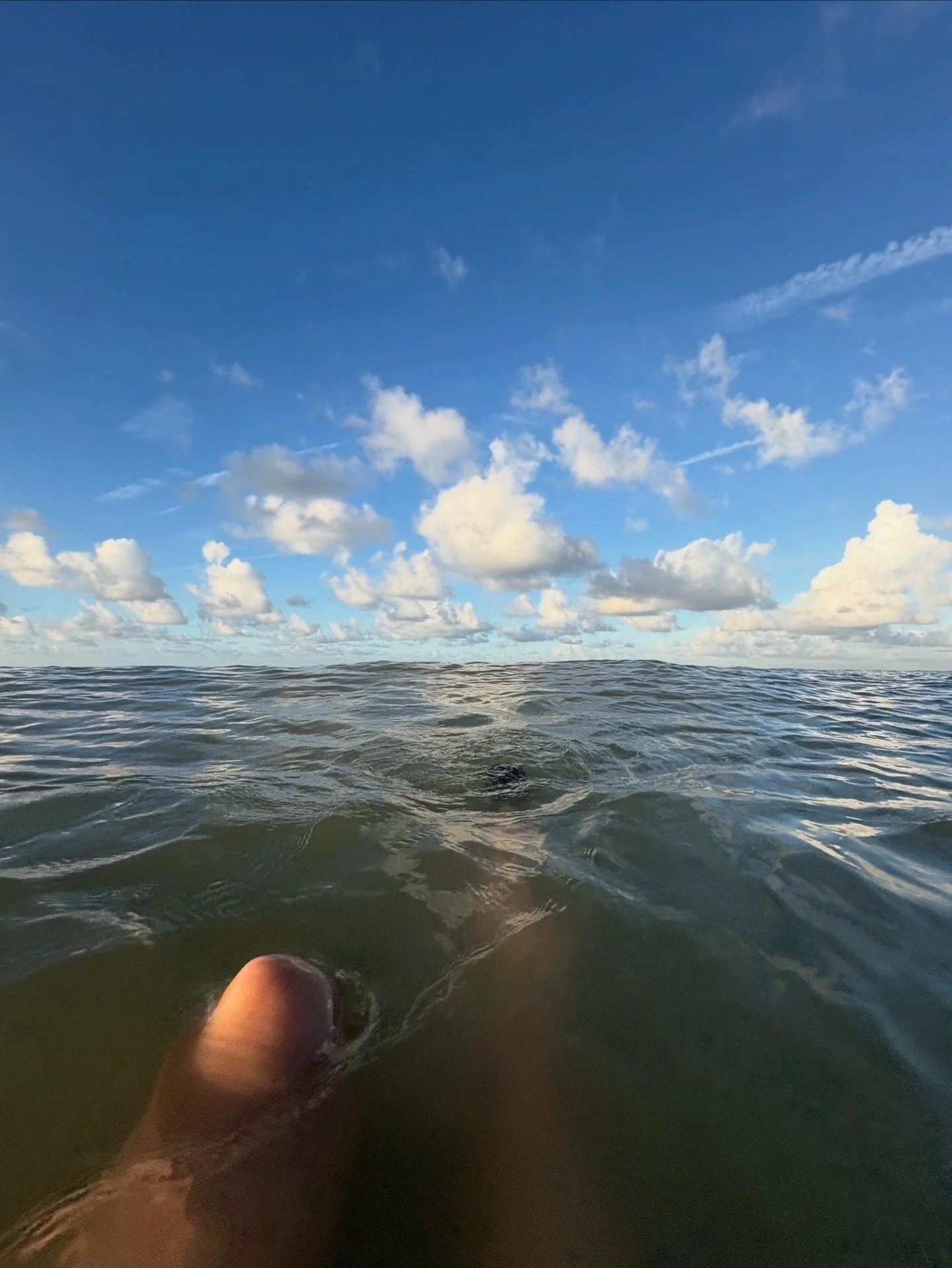 Where I’d rather be. But mostly I’m enforced lounging in bed. Turns out that’s alright. 
These swimmer drawings from 2021 still available btw.