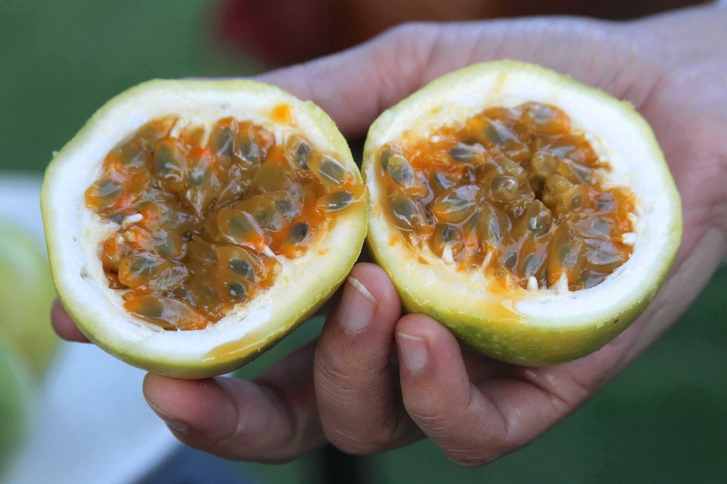 African Passion Fruits! — The Spartan Diet®