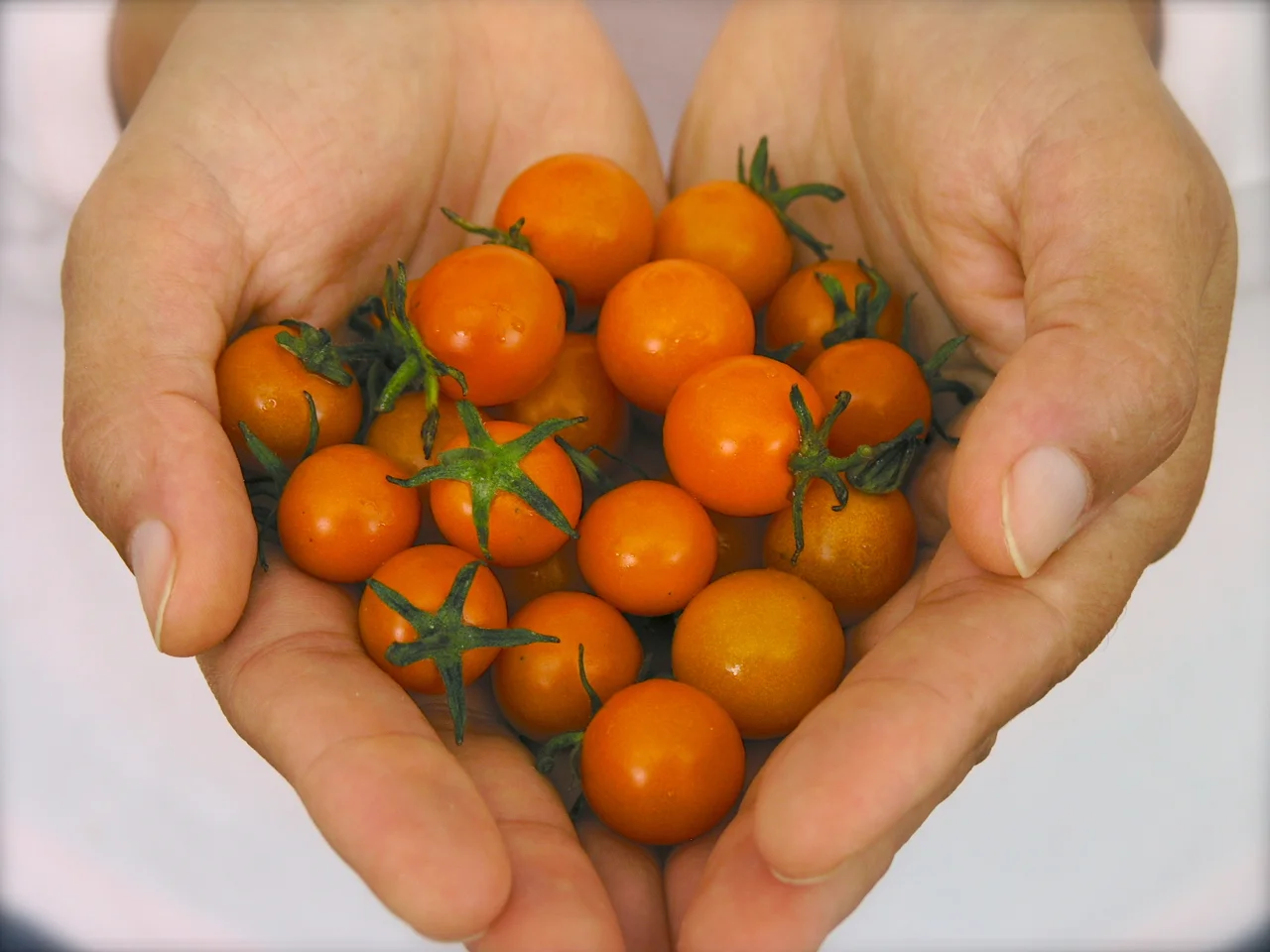 Oh, cheer up and eat some cherry tomatoes!