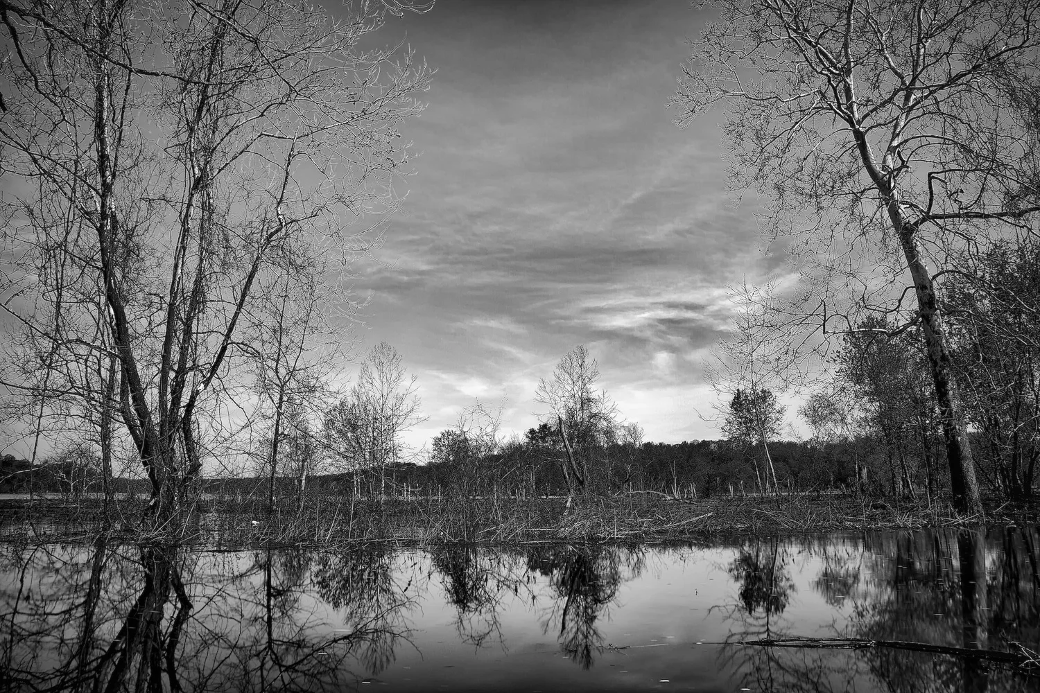 Click To View in Lightbox