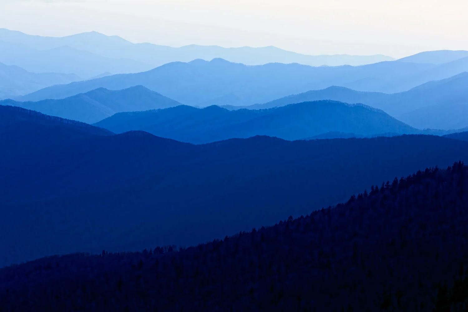 Singing The Blues - click here to enlarge