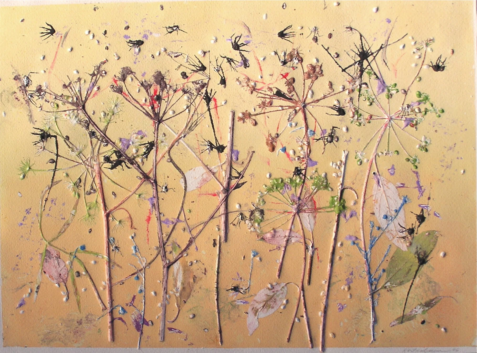 Morning in the Meadow