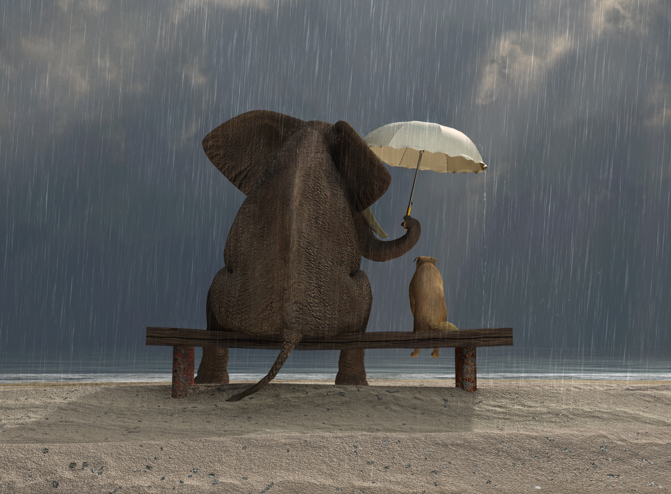 Kindness