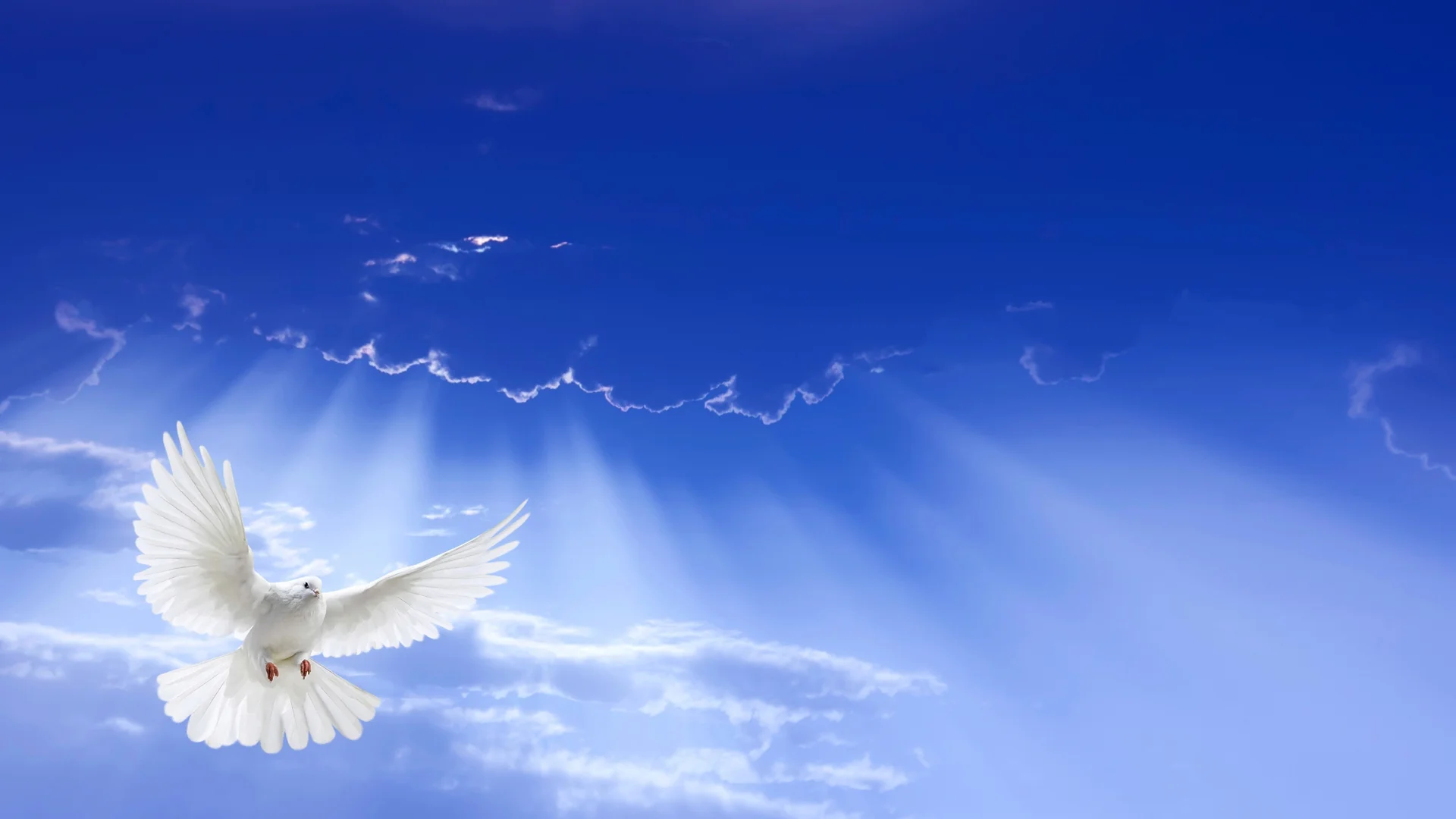 photo The Comforter In The Bible comforter helper counselor the