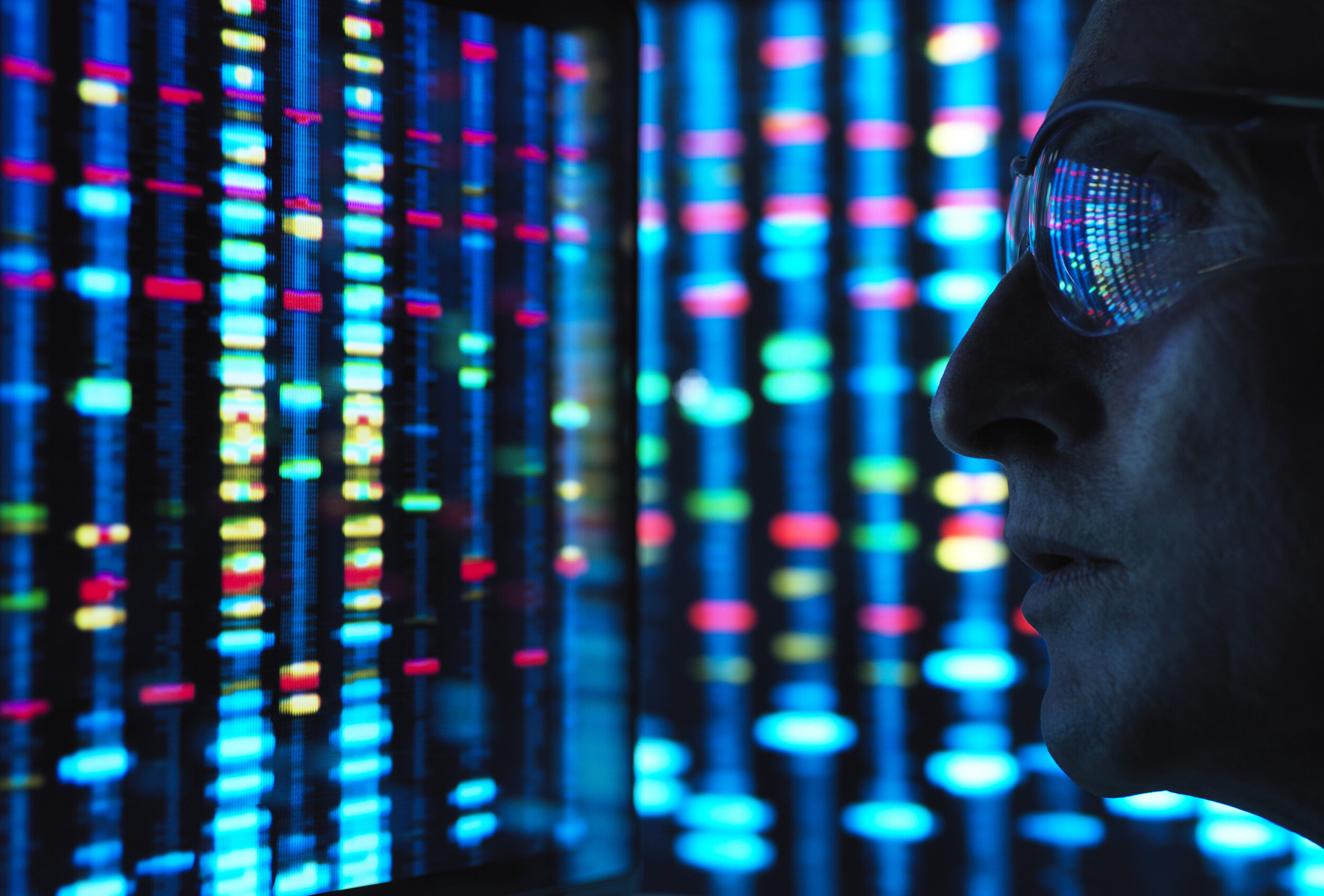 No “Gay Gene”