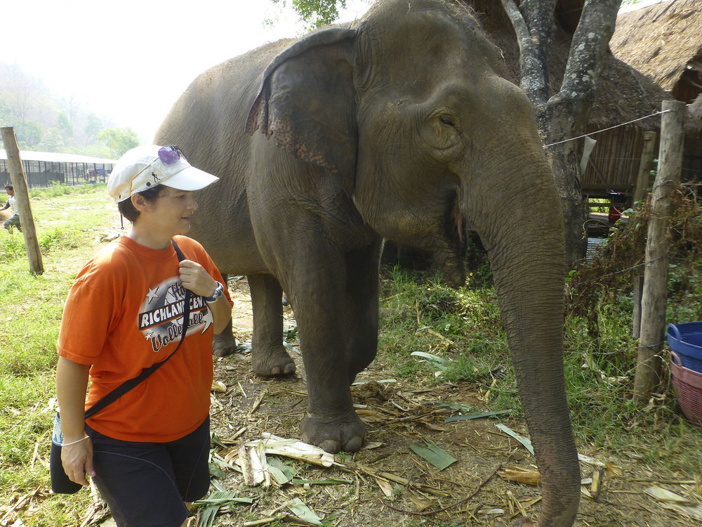 Elephant Walk