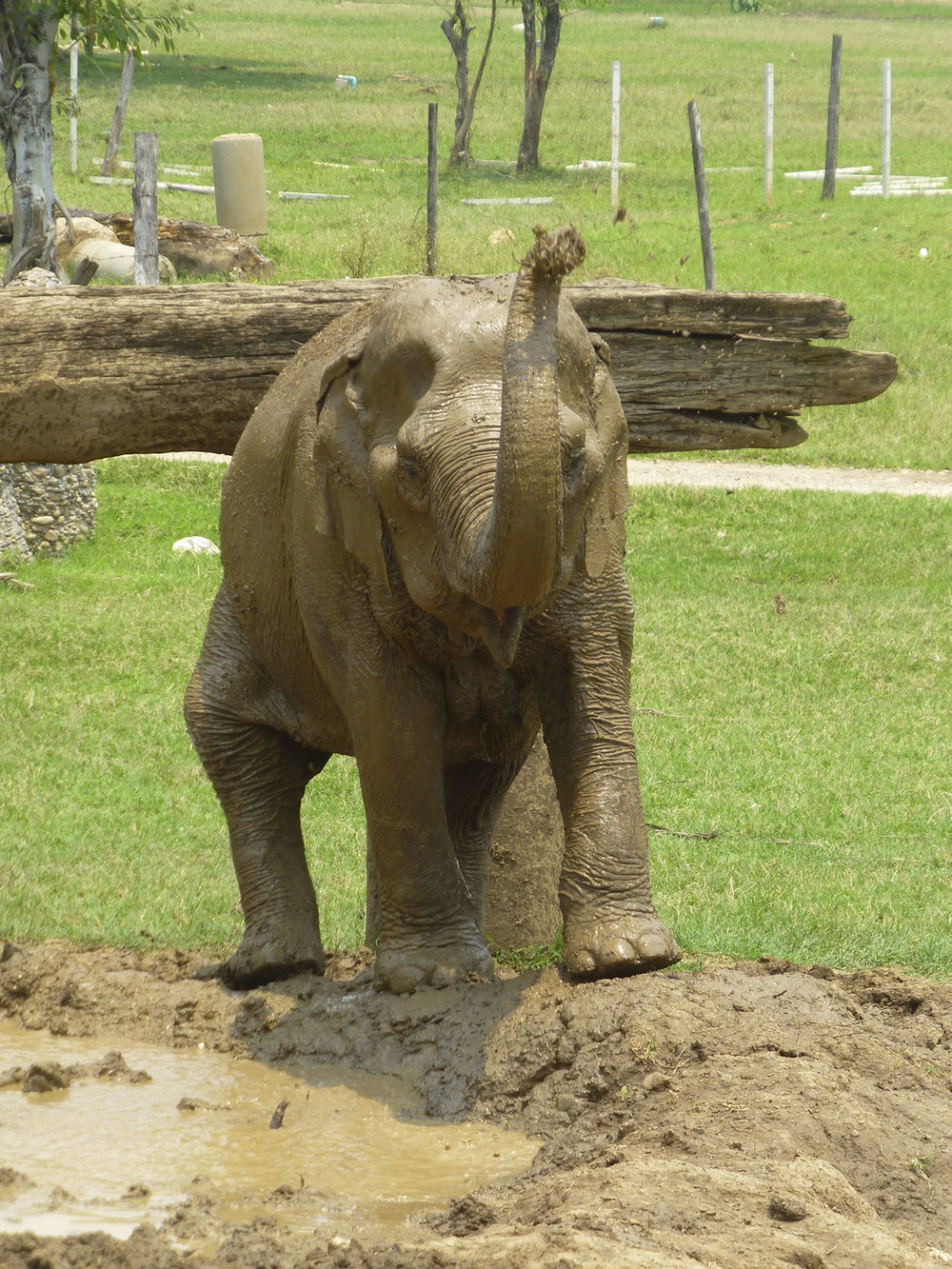 Time For A Mud Bath