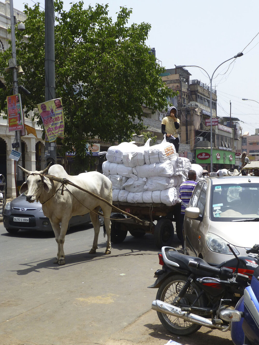 All Manner Of Transport