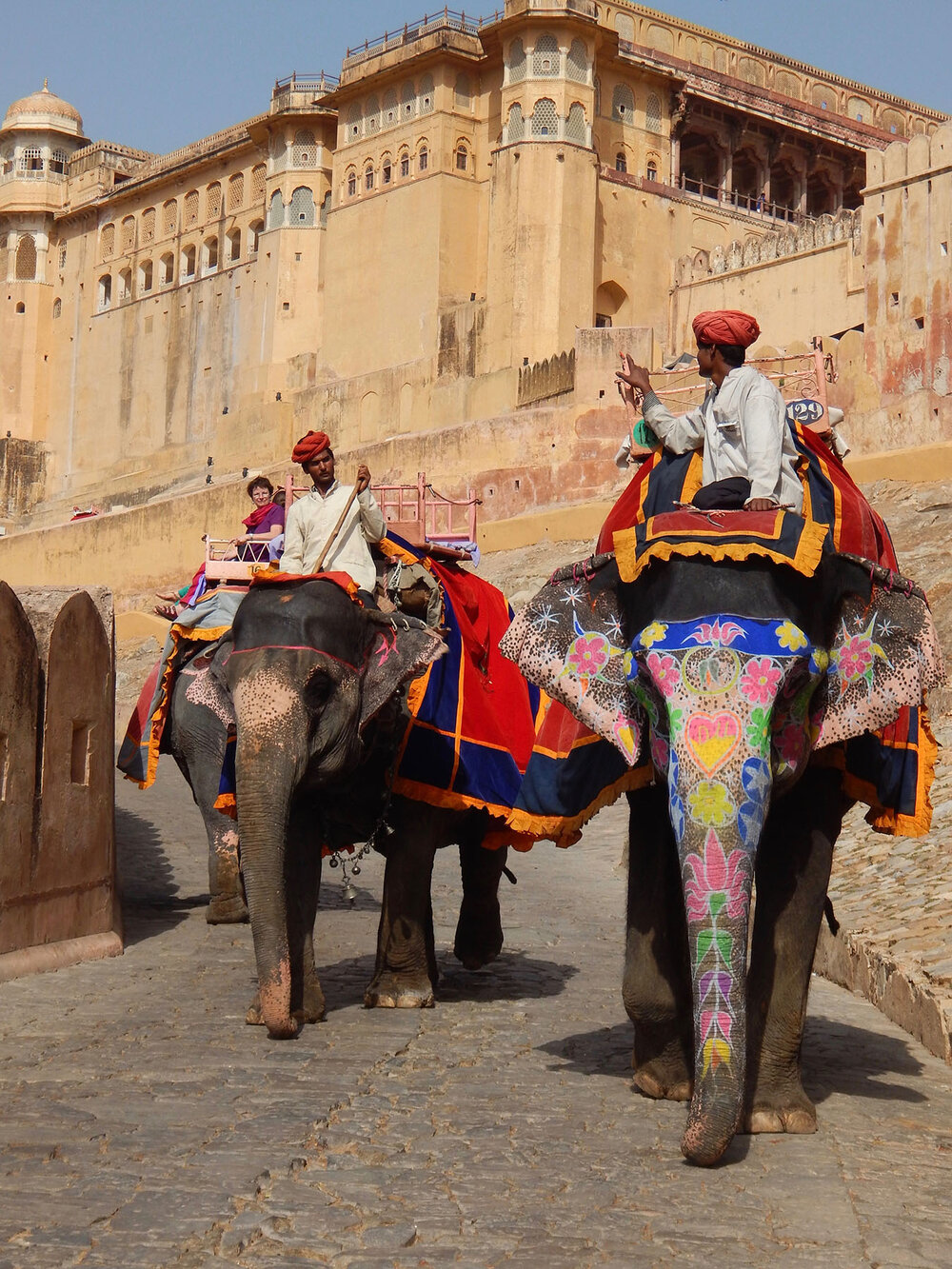 Trained Elephants