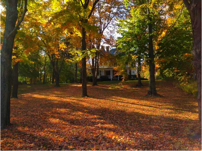 Autumn in Rhode Island
