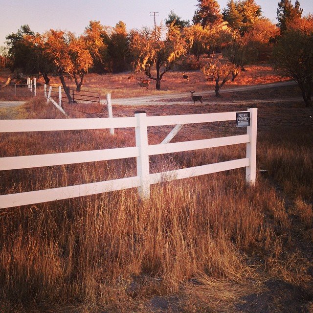 Scenery from Templeton, CA.jpg