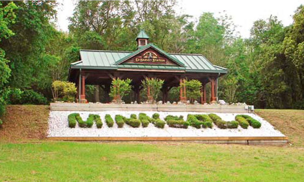 minneola fl.png