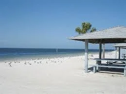 newportrichey fl.jpg