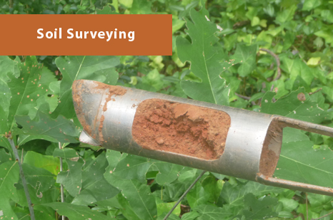 Georgia Soil Testing and Surveying