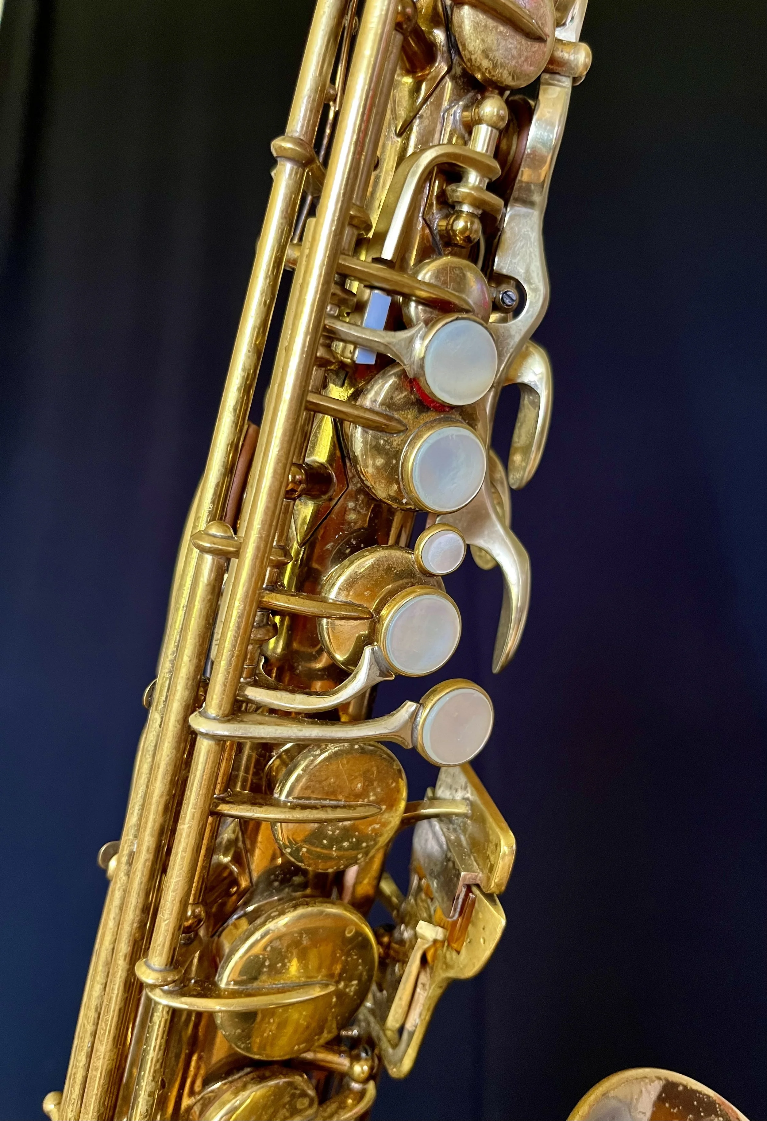 IMG_1966.jpeg