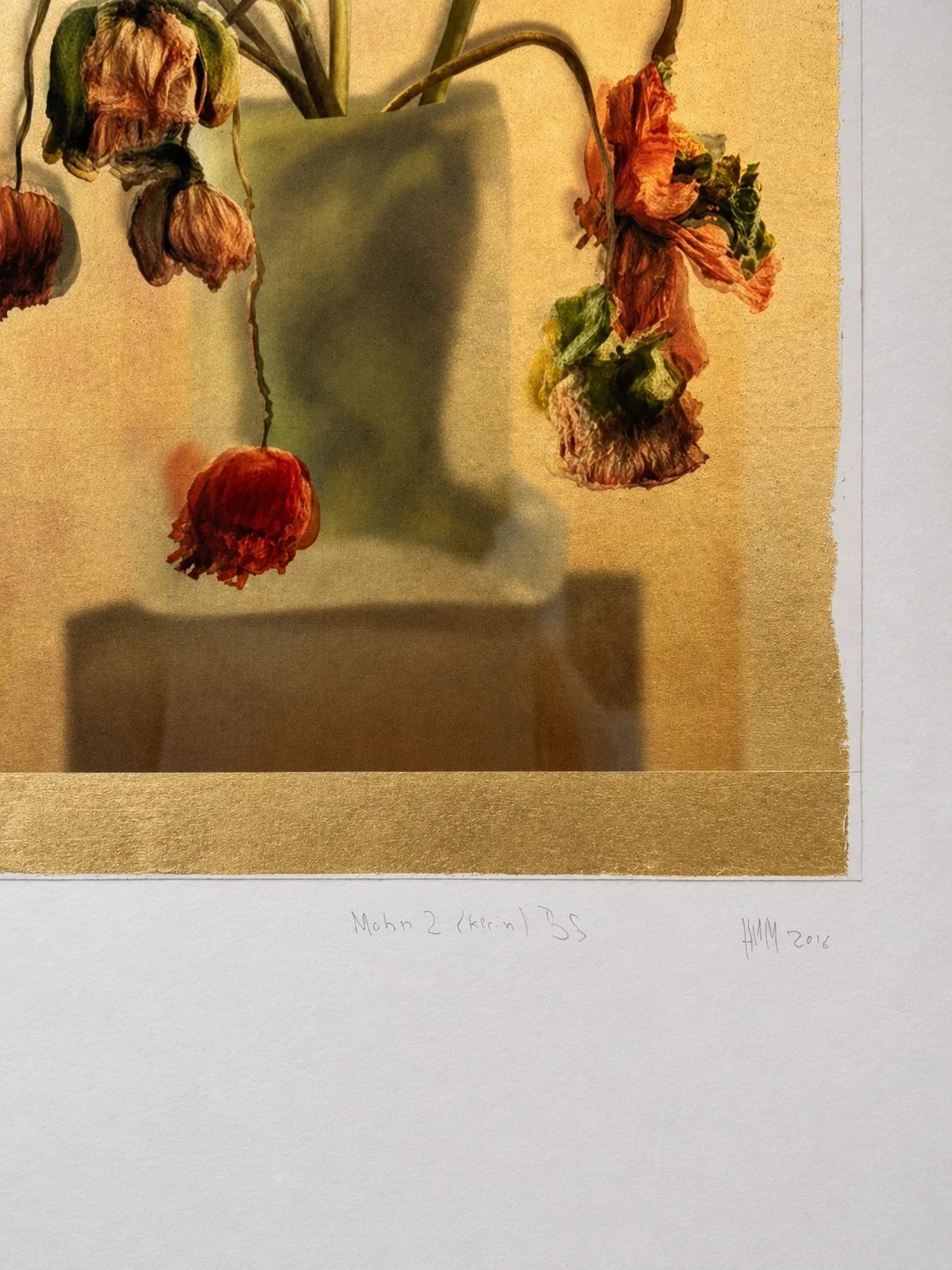 Mohn 2 H.U.M.jpeg
