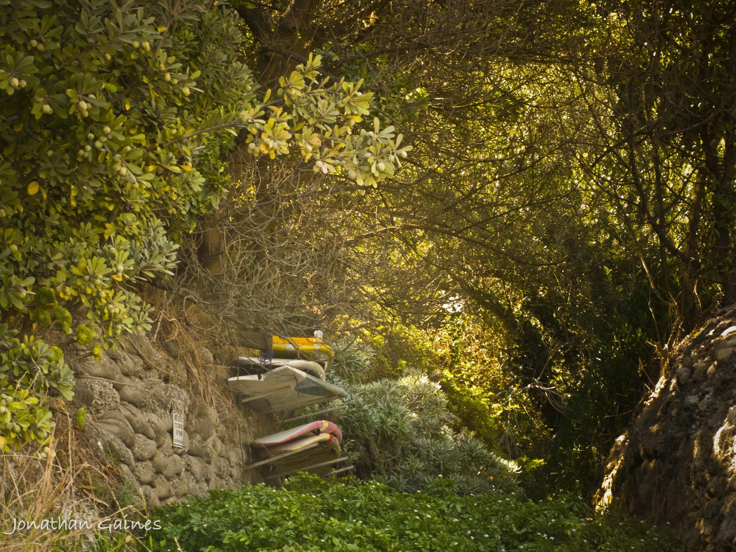 Paradise Cove-20120831124.jpg