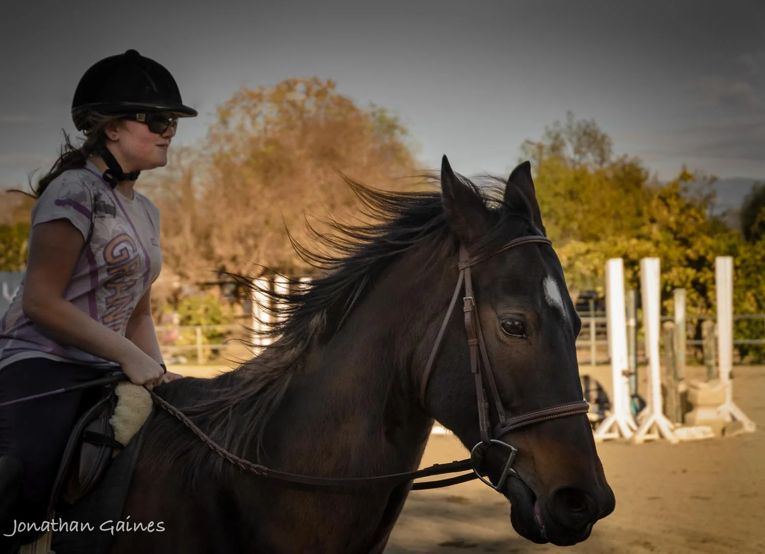 Horse Crazy