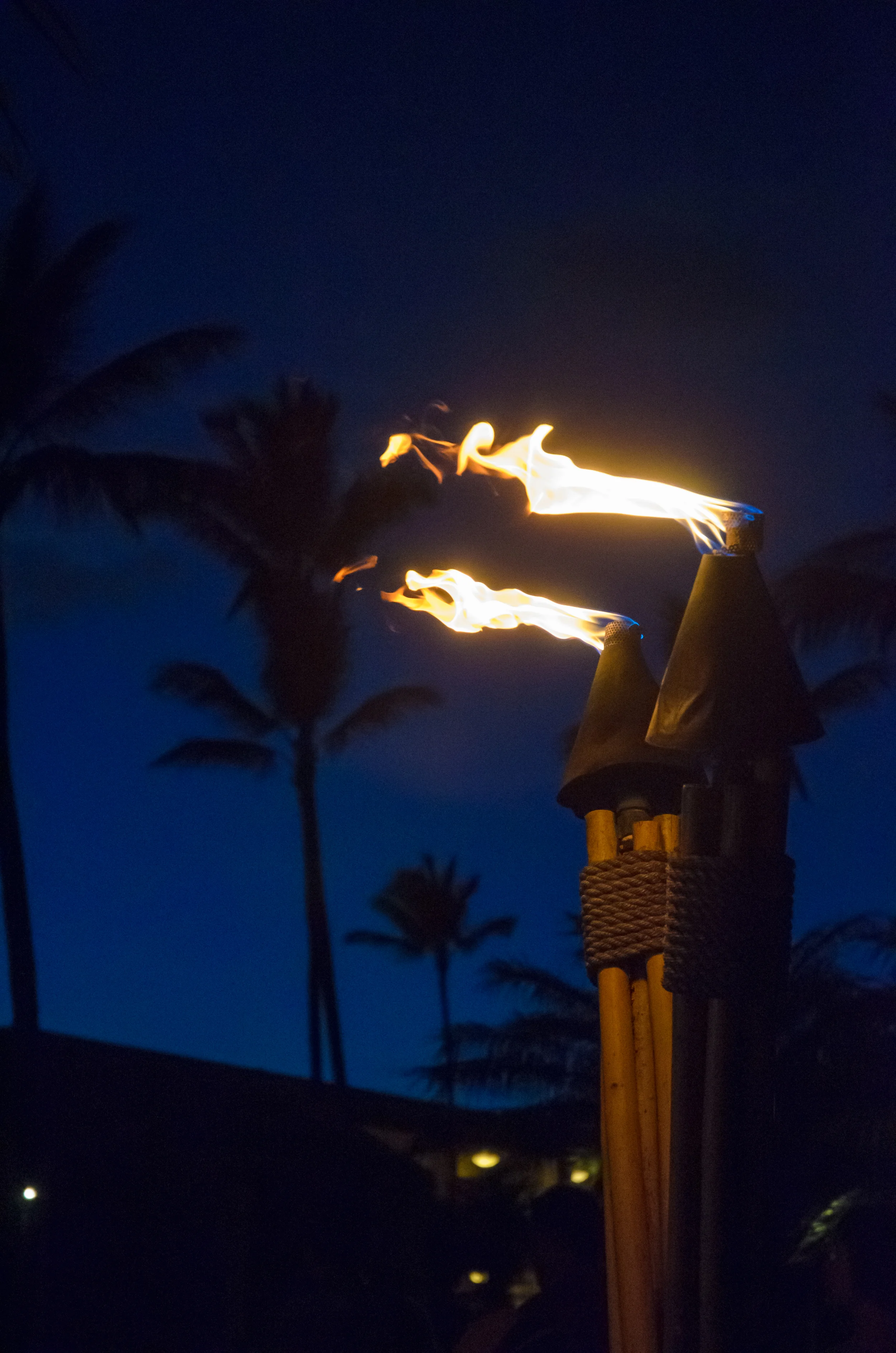 Maui Vacation DSC_8060.jpg
