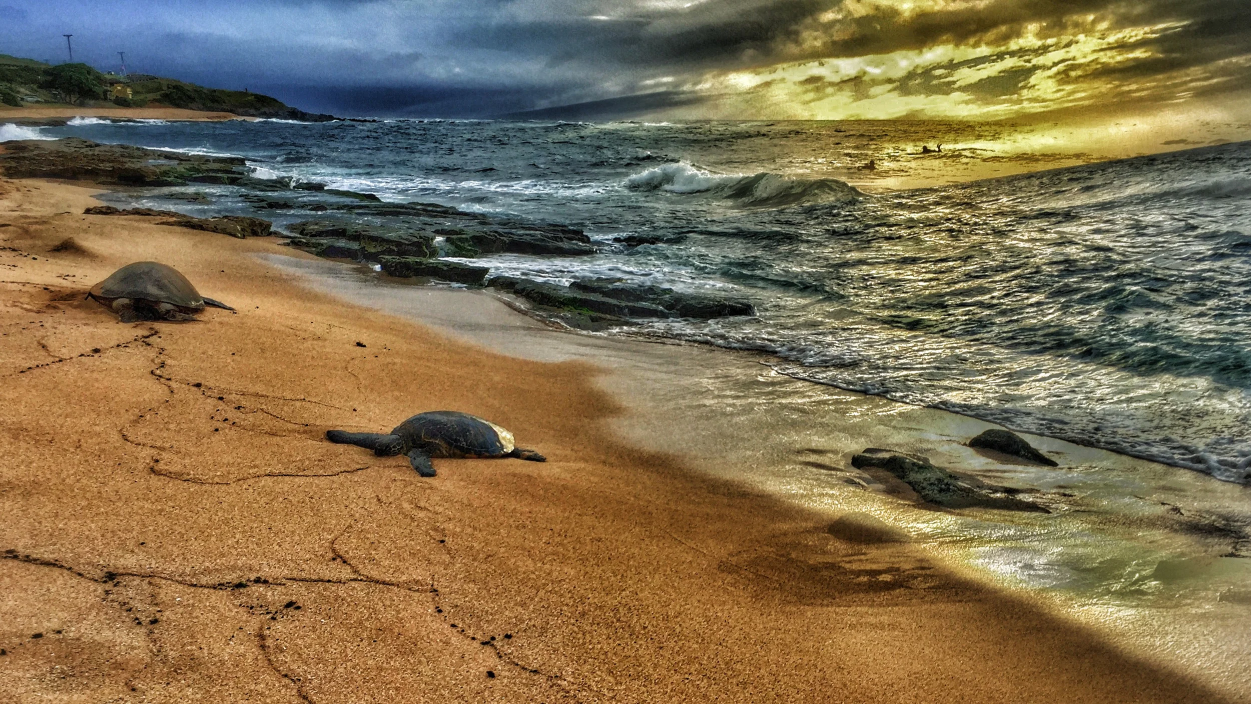 Maui Vacation IMG_1056.jpg