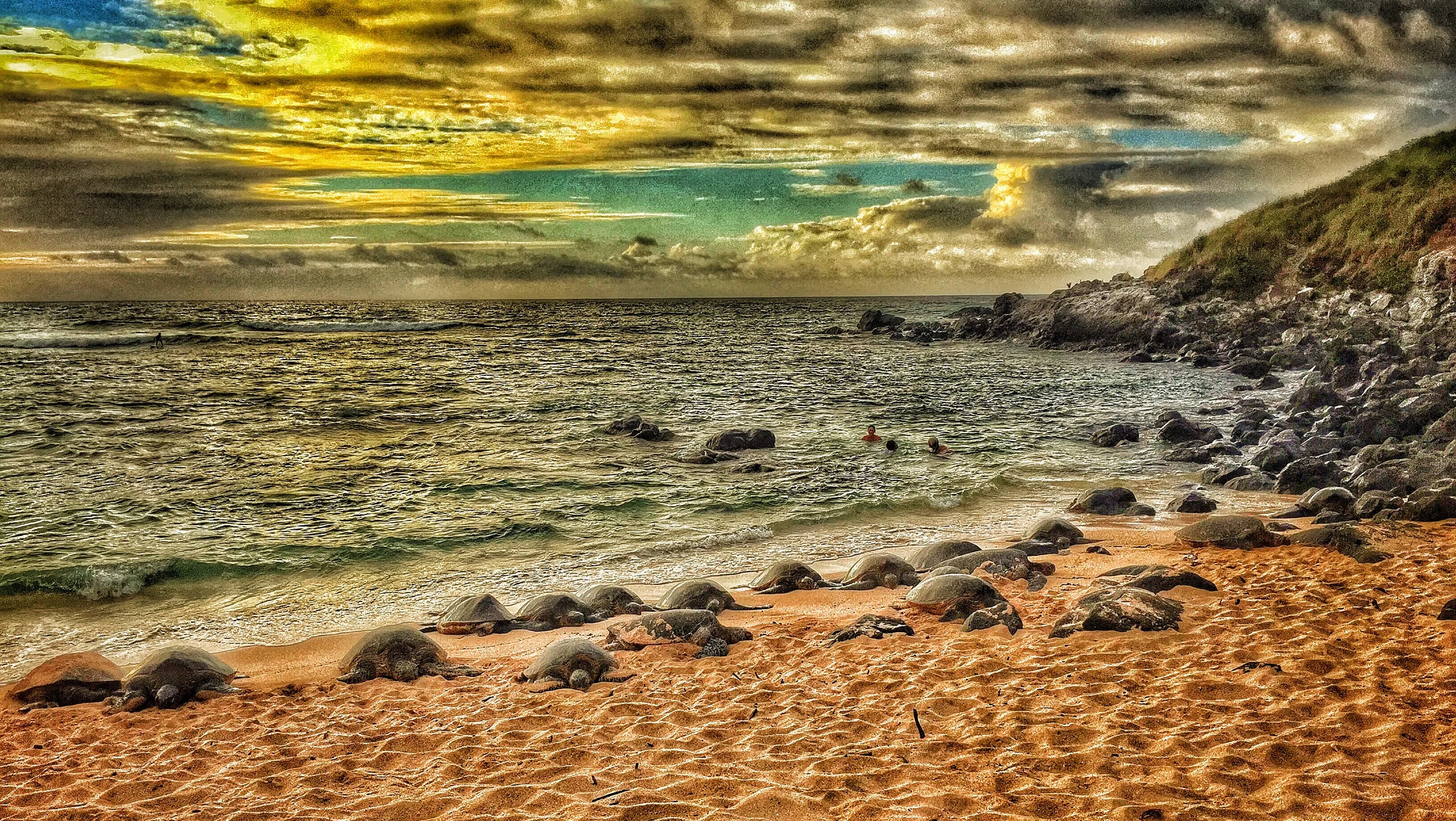 Maui Vacation IMG_1055.jpg