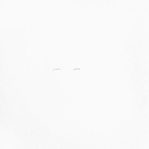 Synchronized Flight , 2011, graphite on paper. 