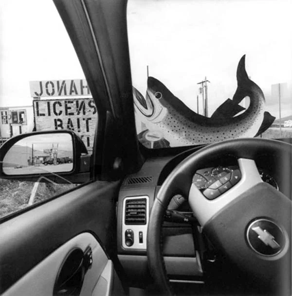 Colorado, 2007. America by Car , by Lee Friedlander.