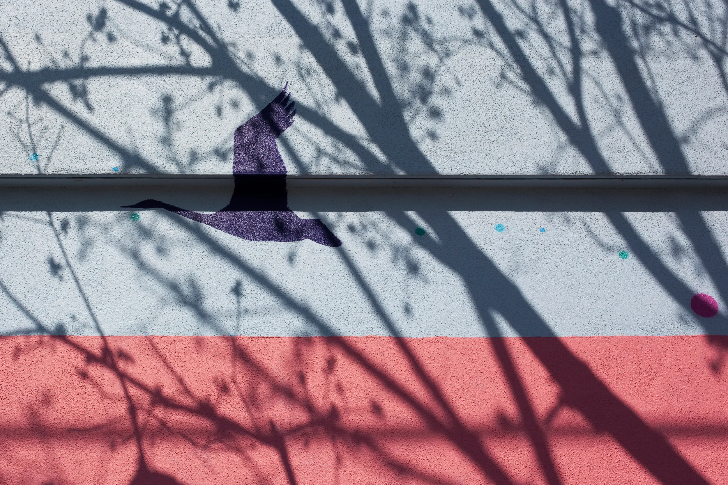 Dallas, Texas, 2010