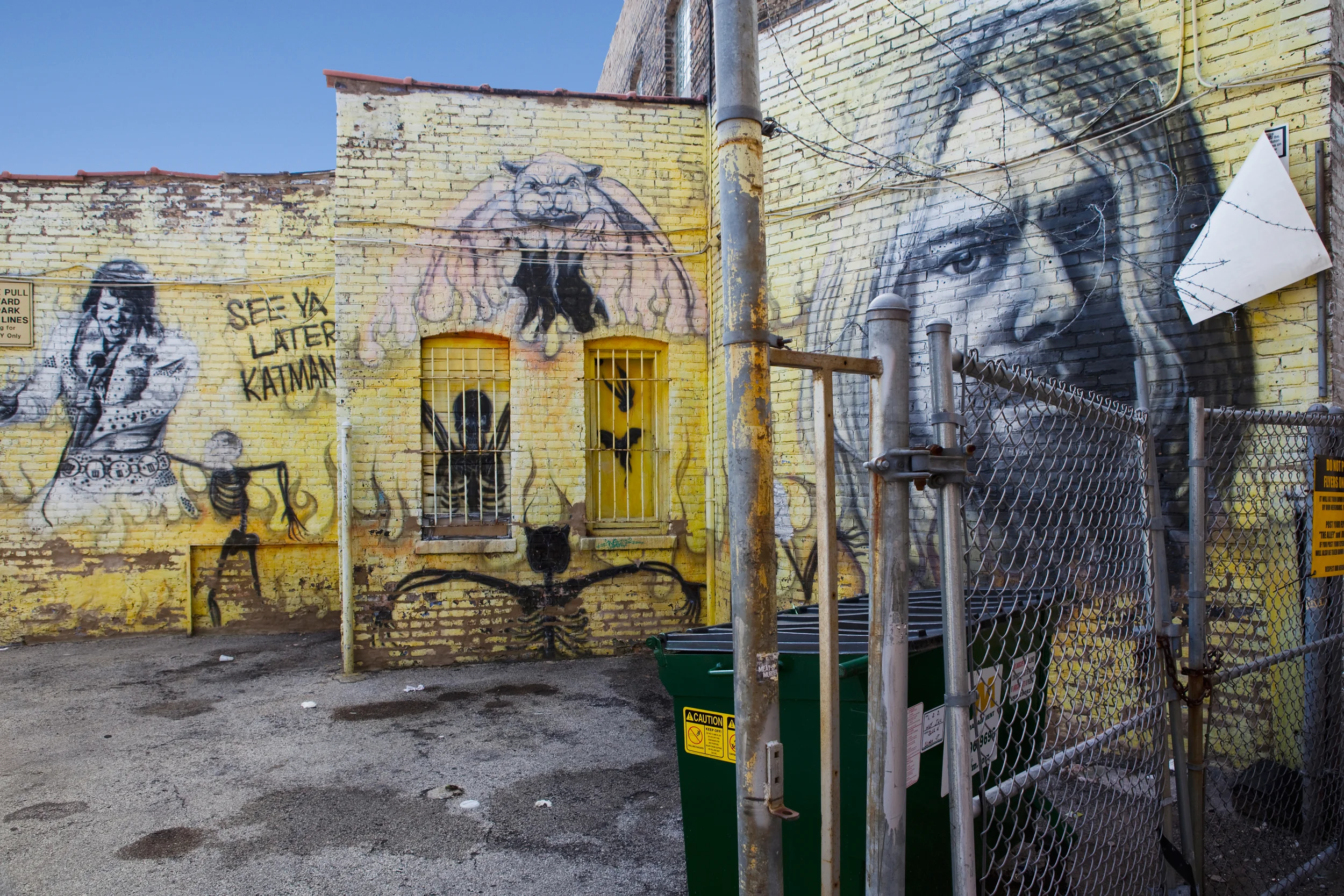Chicago, Illinois, 2009