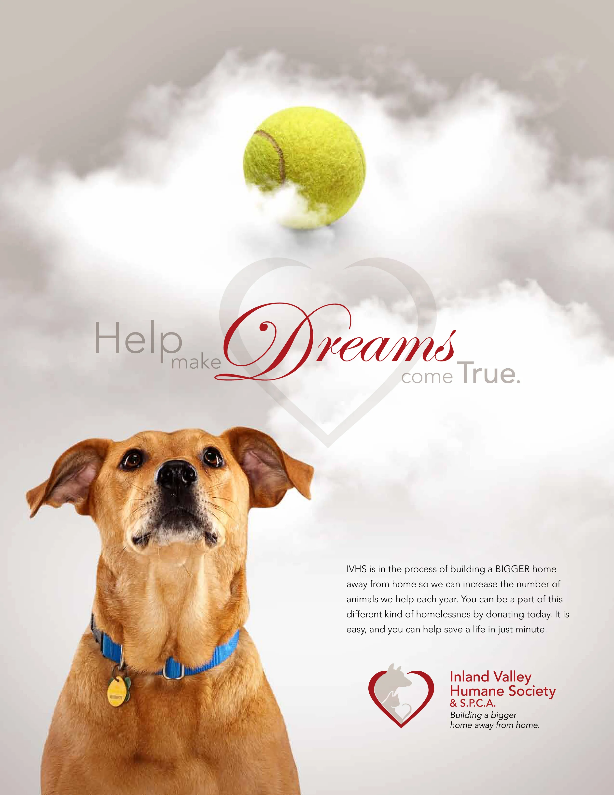 inland valley humane society & spca