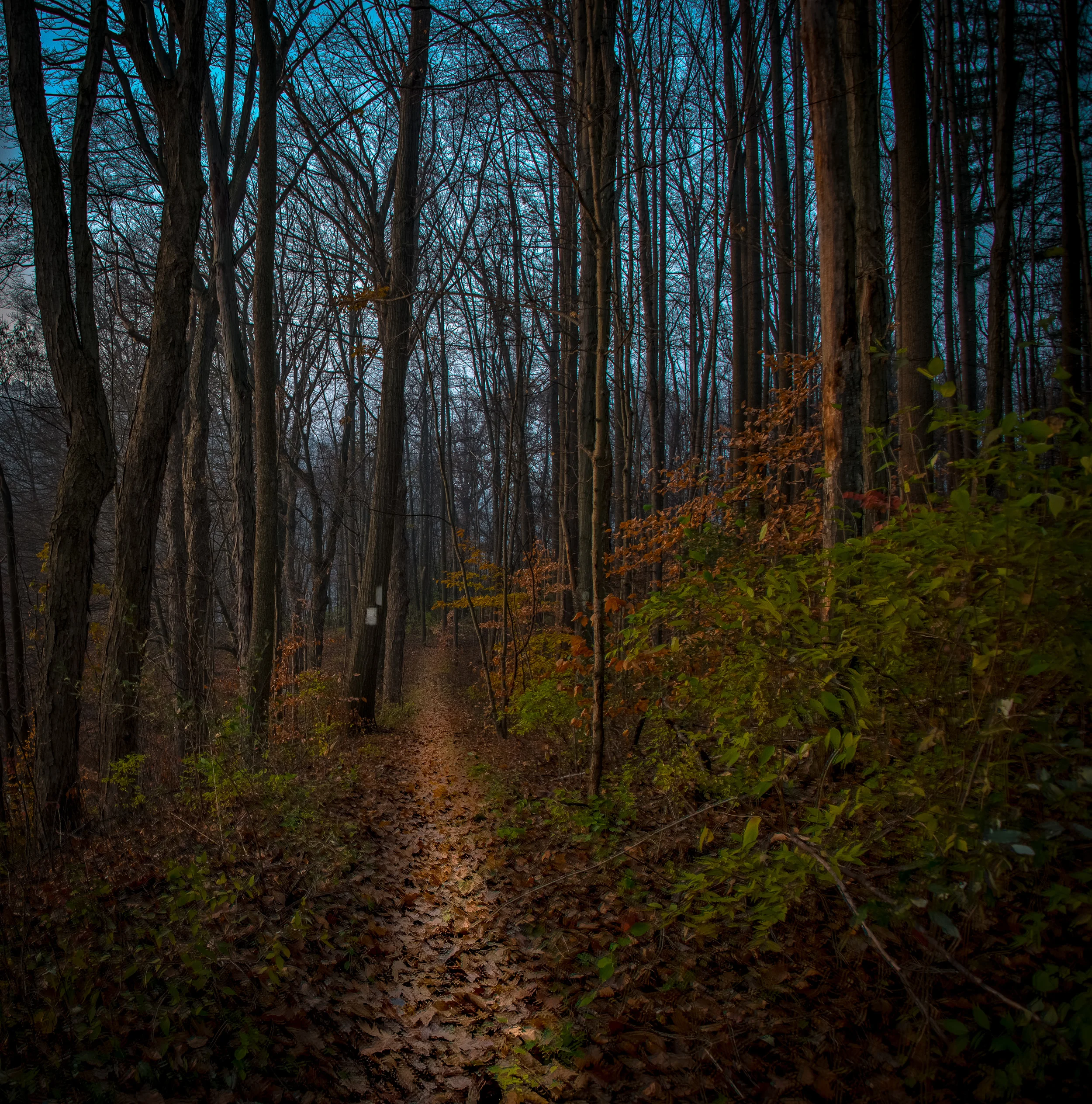 Hike!