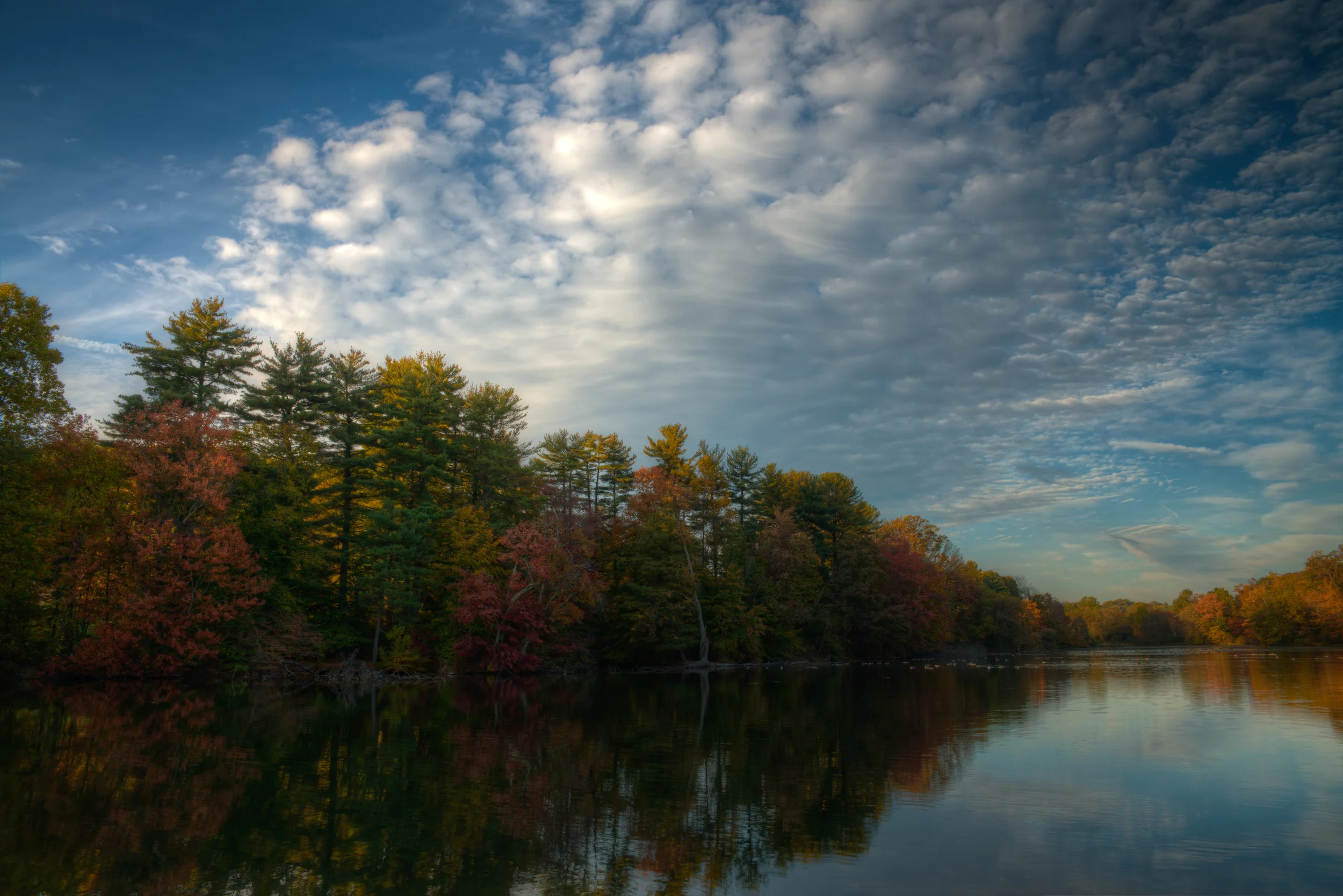 Remembering Autumn