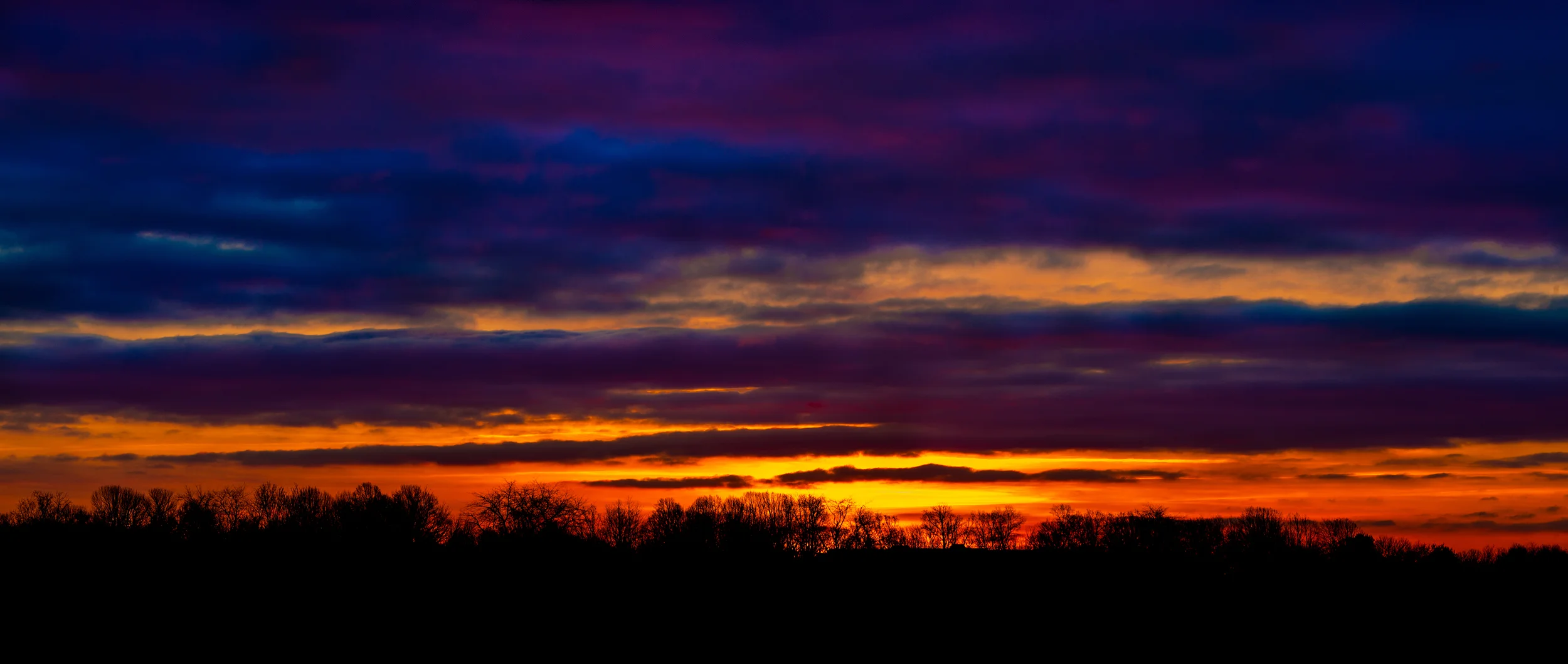 Sunrise in Frozen Cornfield