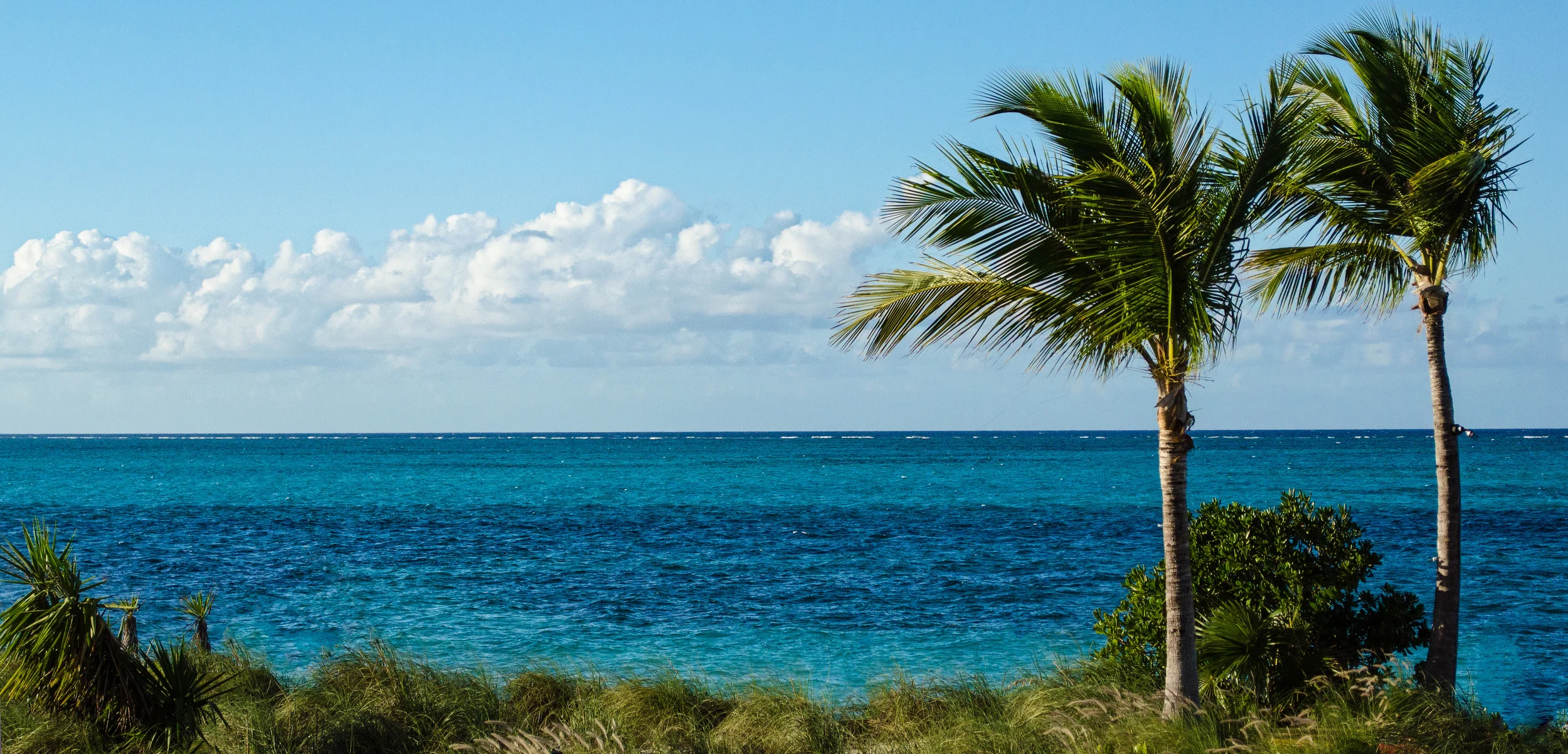 Turks and Caicos View from the Hotel