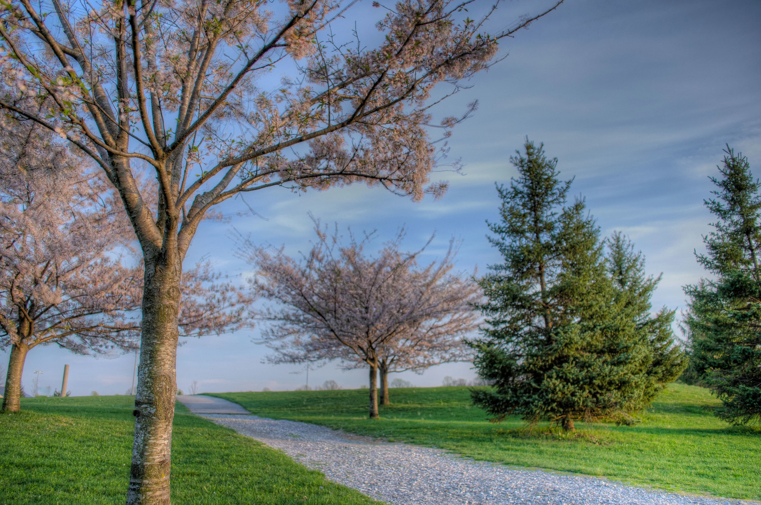 Spring enters