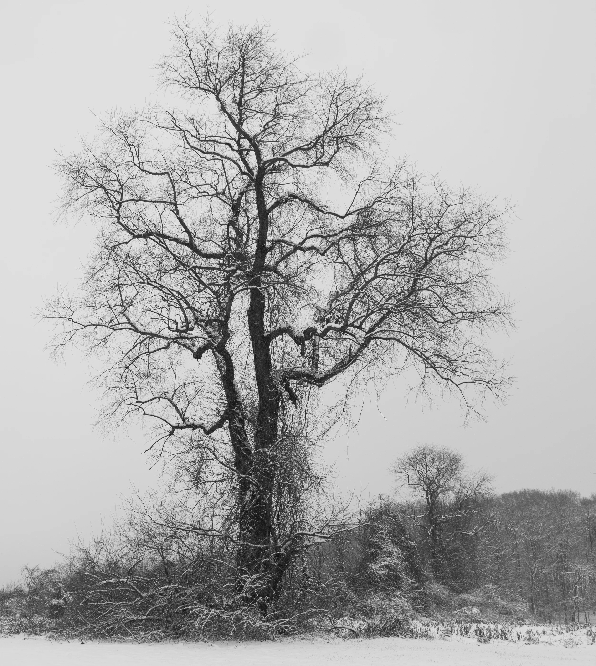 In the Bleak Midwinter