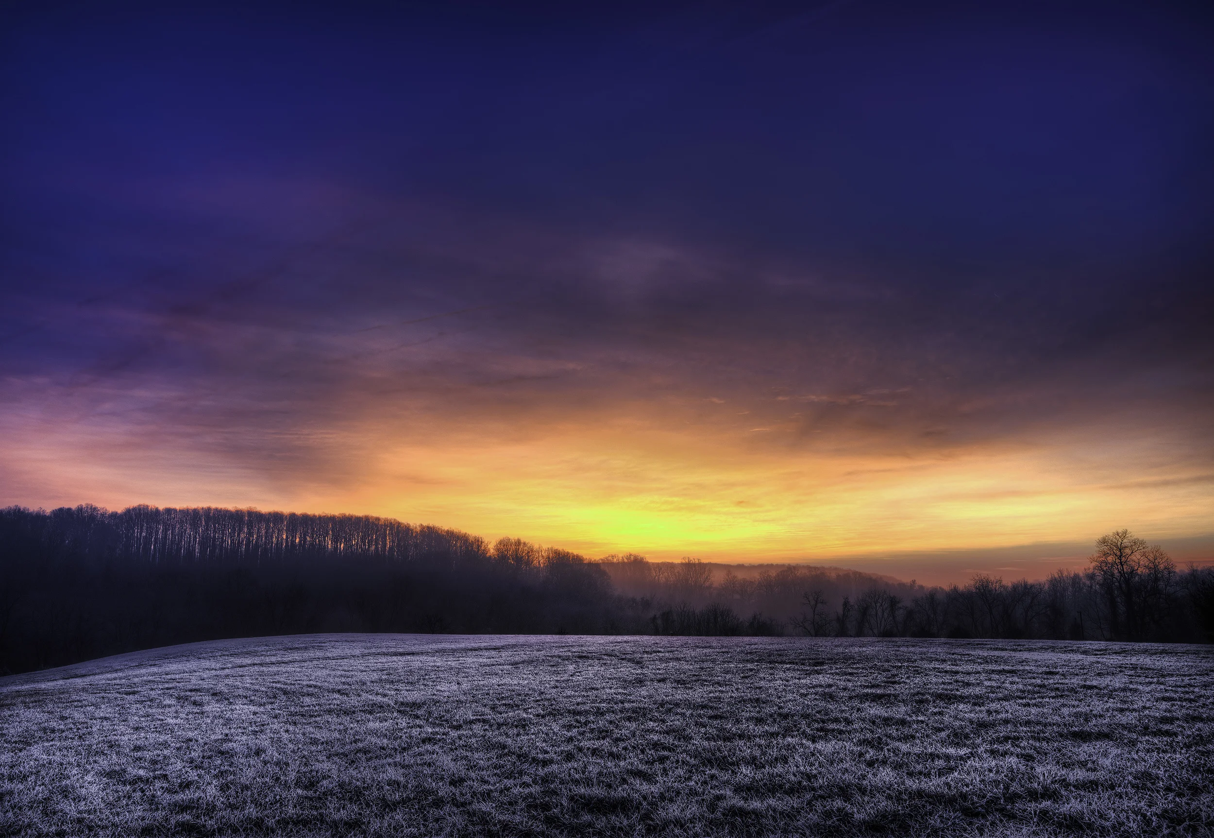 Frosty Mornings