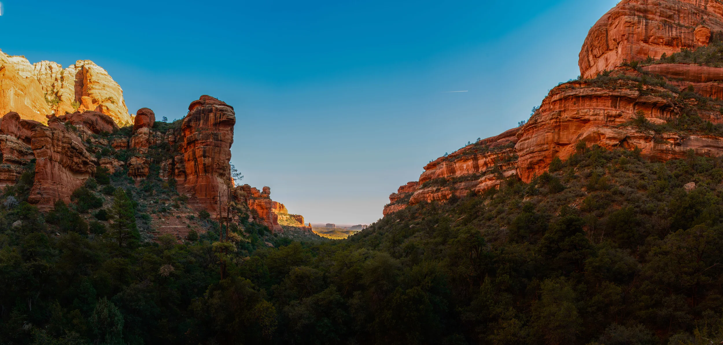 Fay Canyon Trail View (1 of 1).jpg