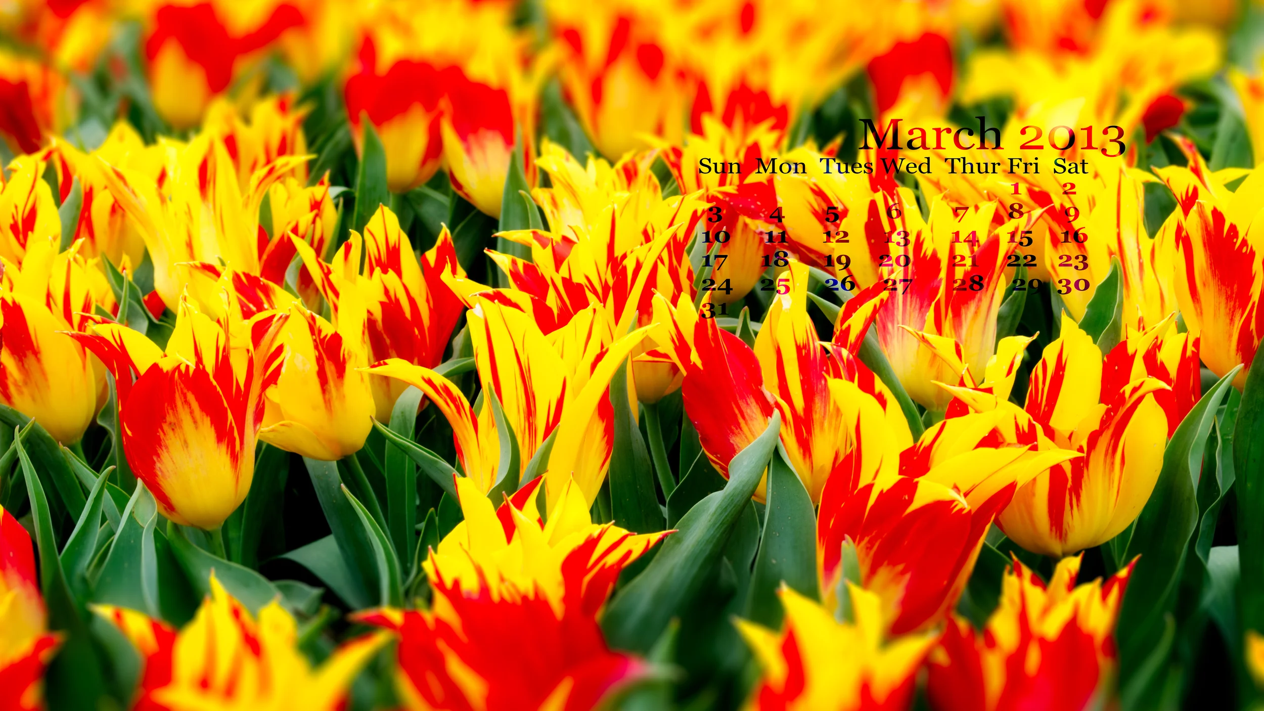 March 2013 calendar (1 of 1).jpg