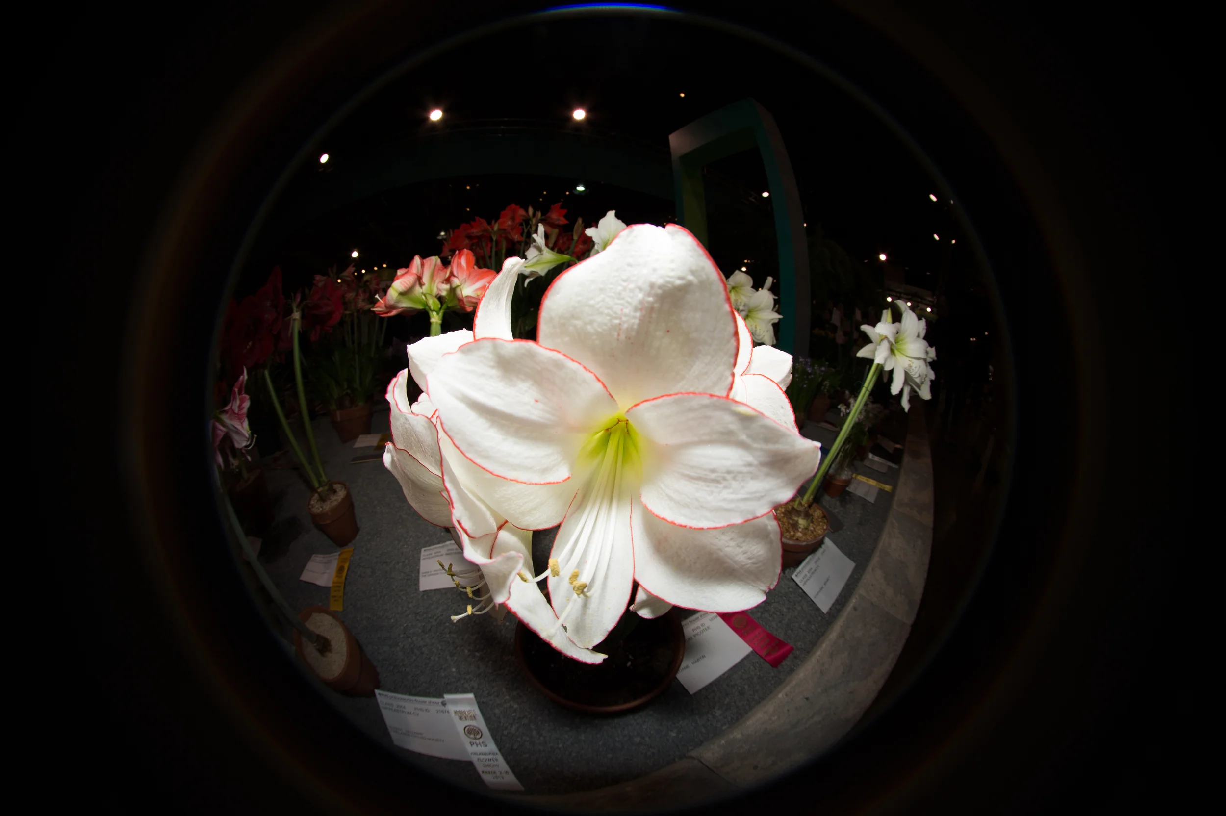 untitled (2 of 2).jpg