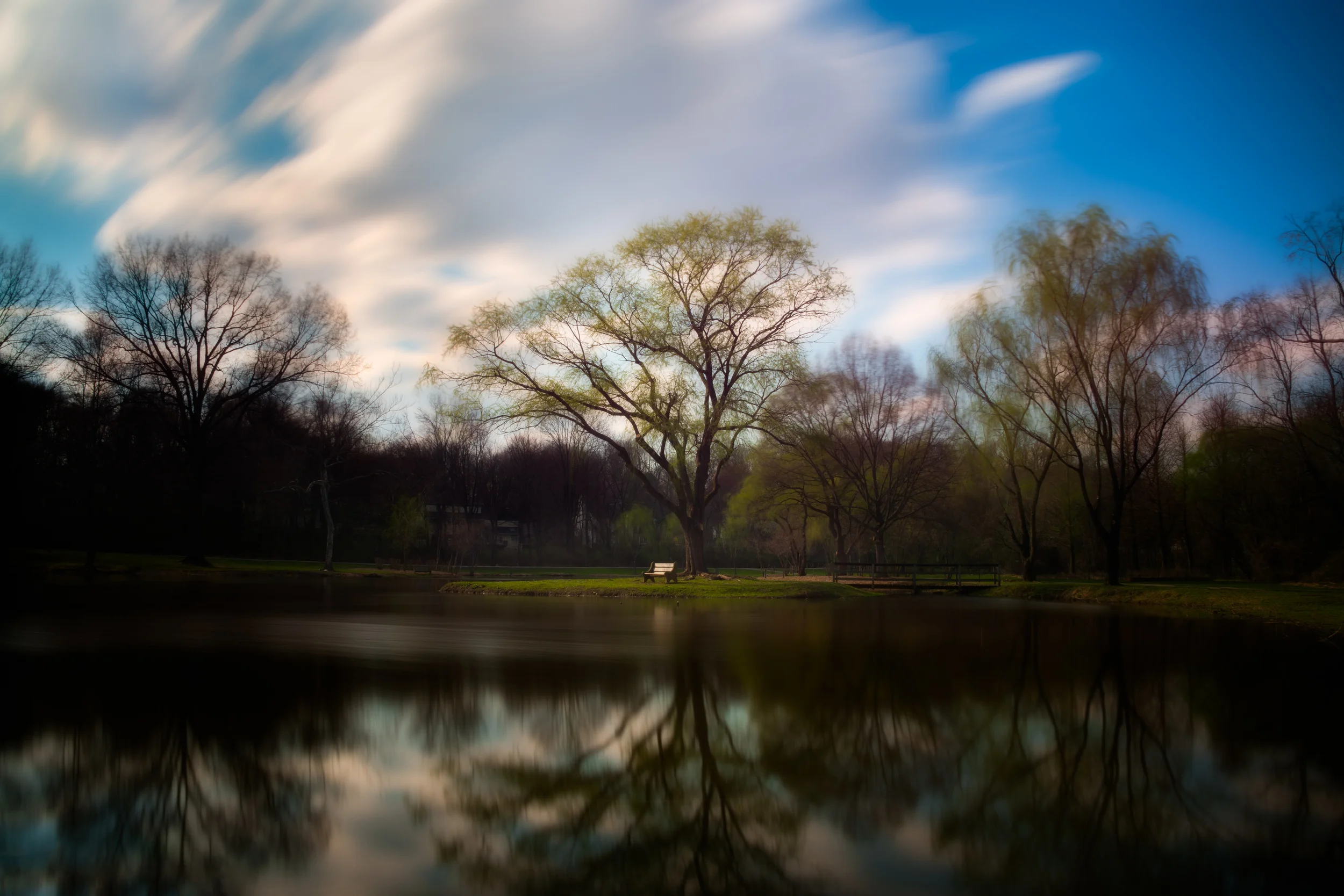 Earth day 2013 (1 of 1).jpg