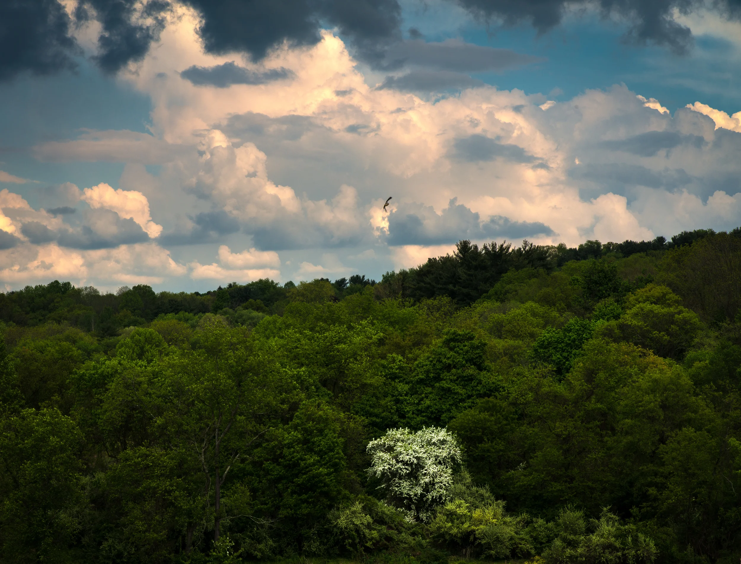 Cloudy skies (1 of 1).jpg