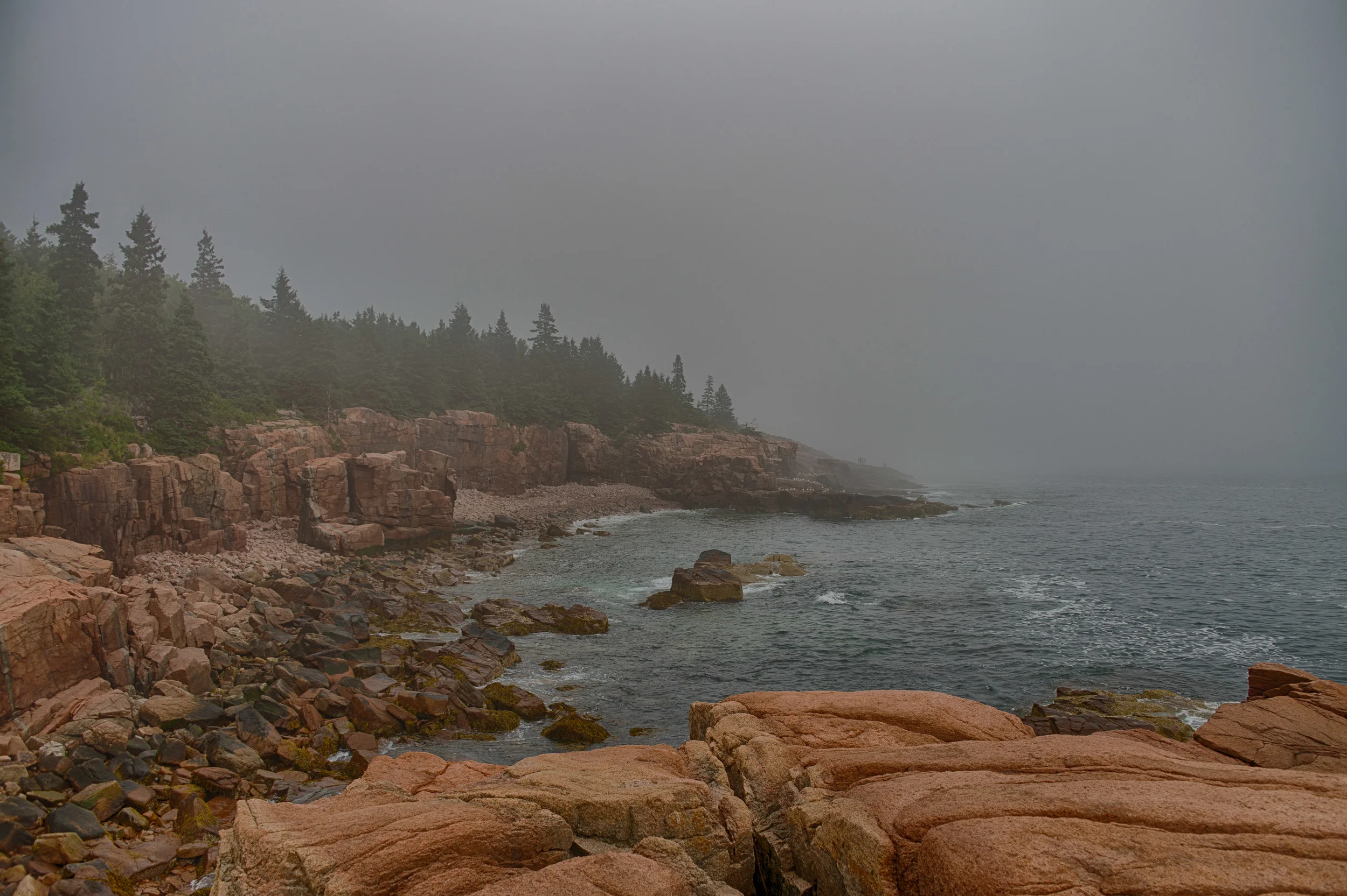 DSC_9503_HDR-Edit-2746117500-O.jpg