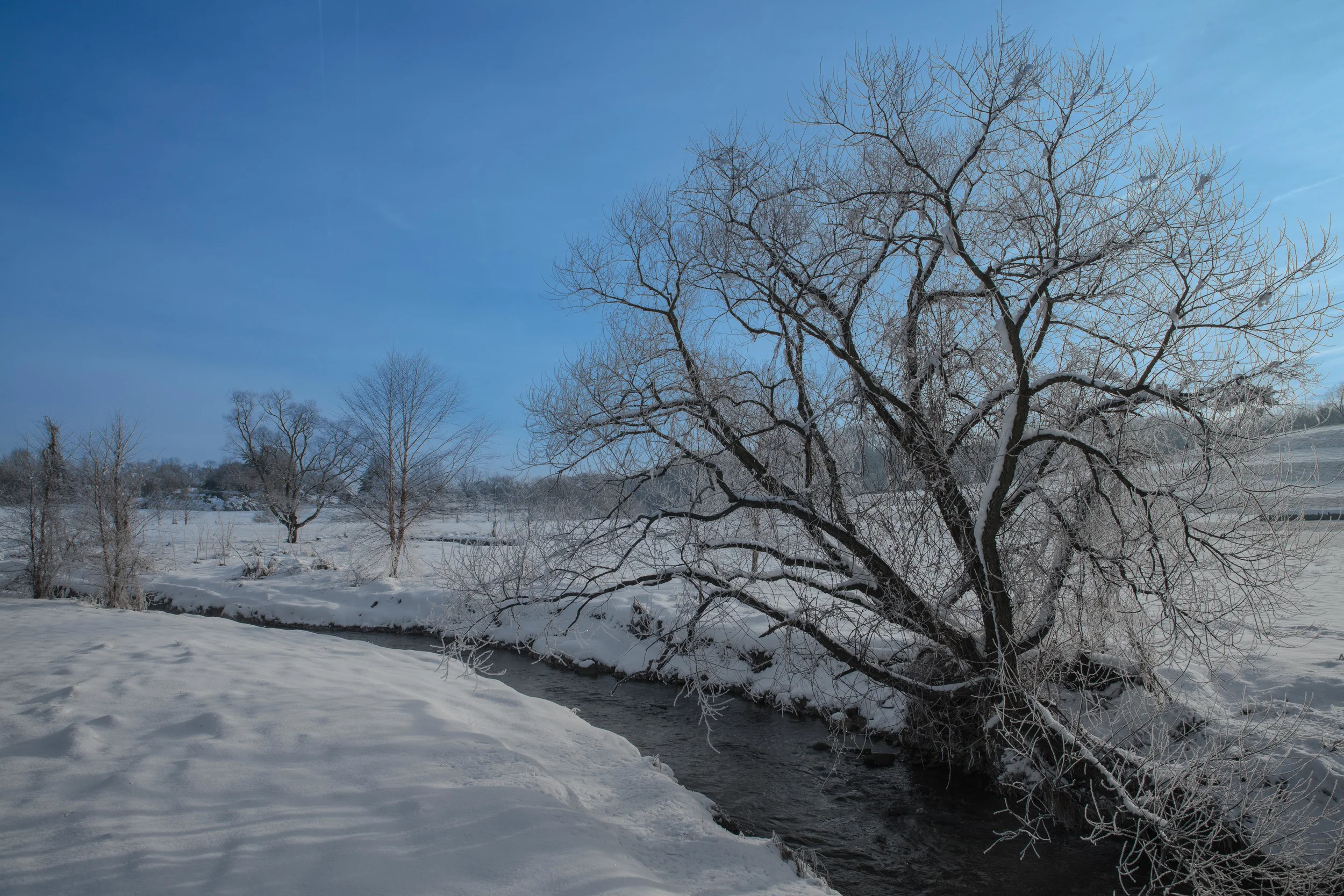 Nikon D800 Tamron 24-70mm f/2.8 @ 24mm f/13 ISO 100 1/500 sec