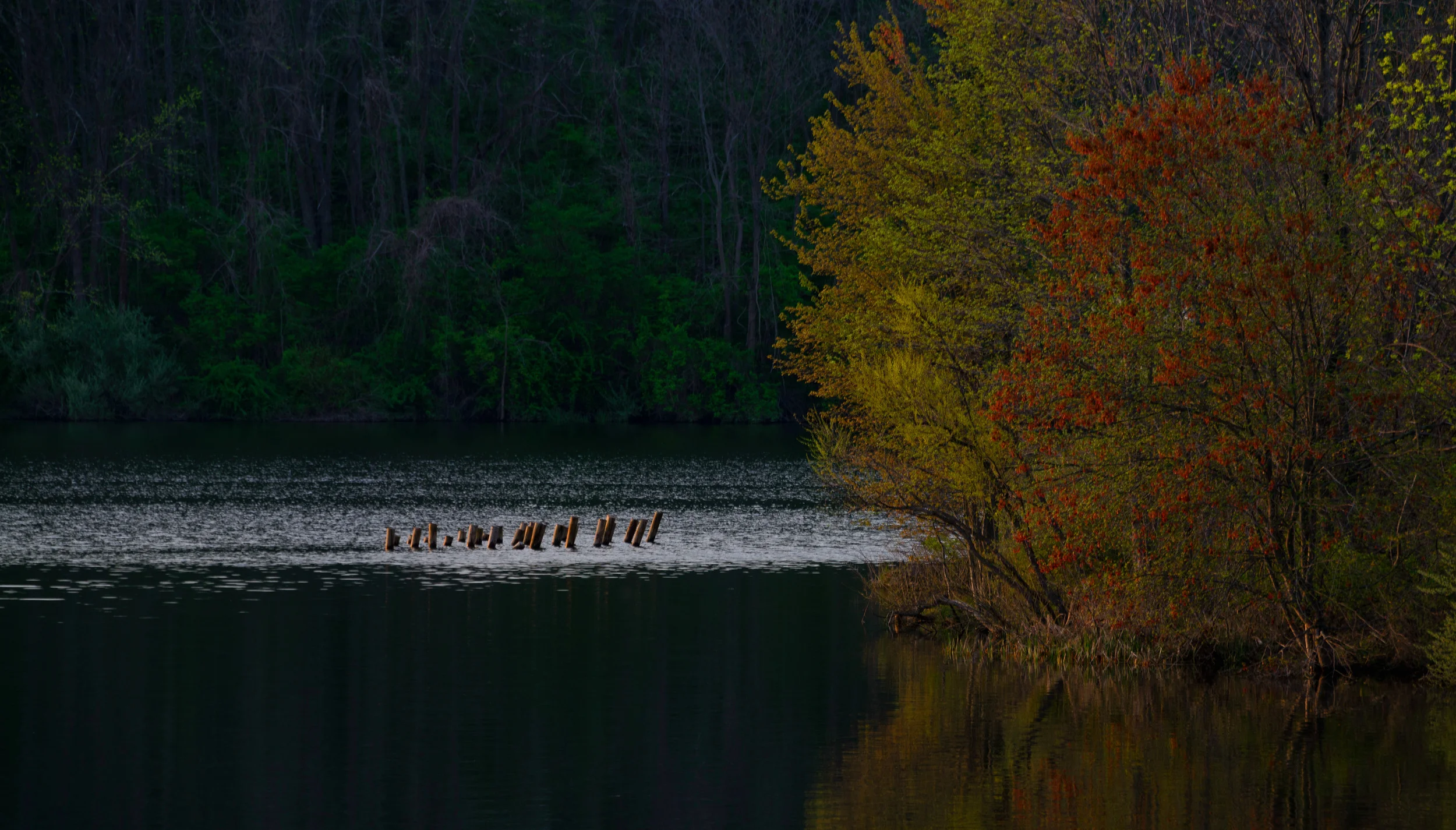 Nikon D800 Nikkor 28-300mm f/3.5-5.6 @ 250mm f/9 ISO 100 1/60 sec