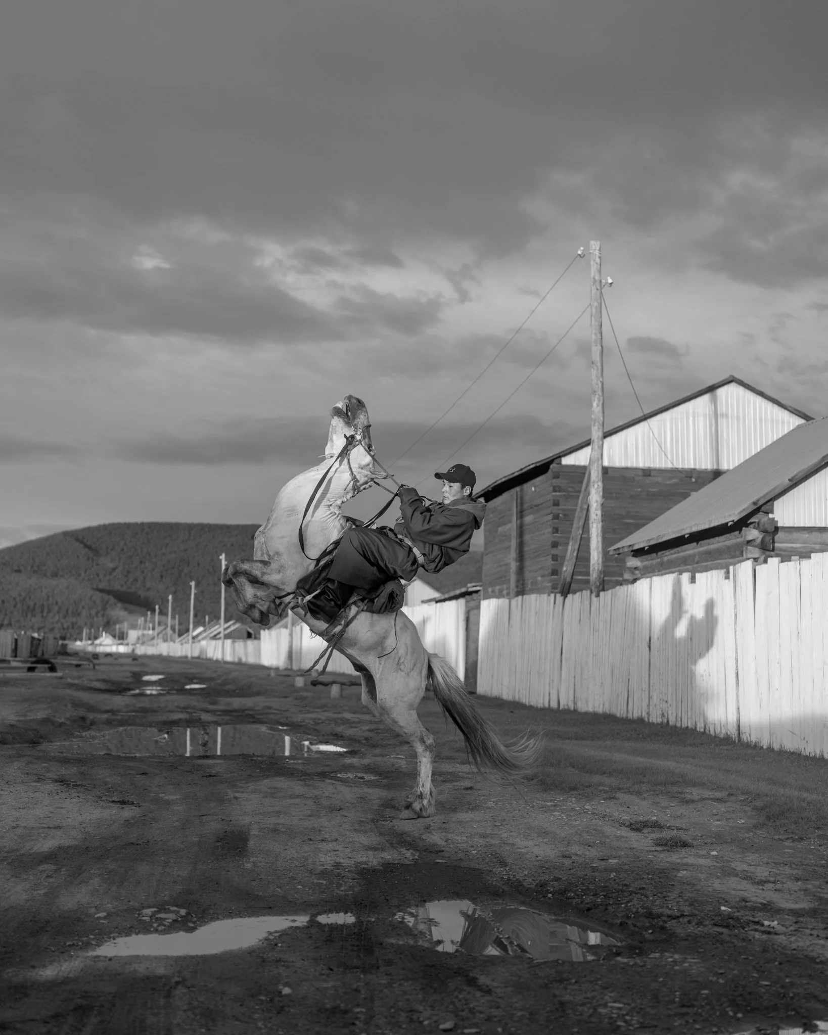 Horses and Rider.jpg