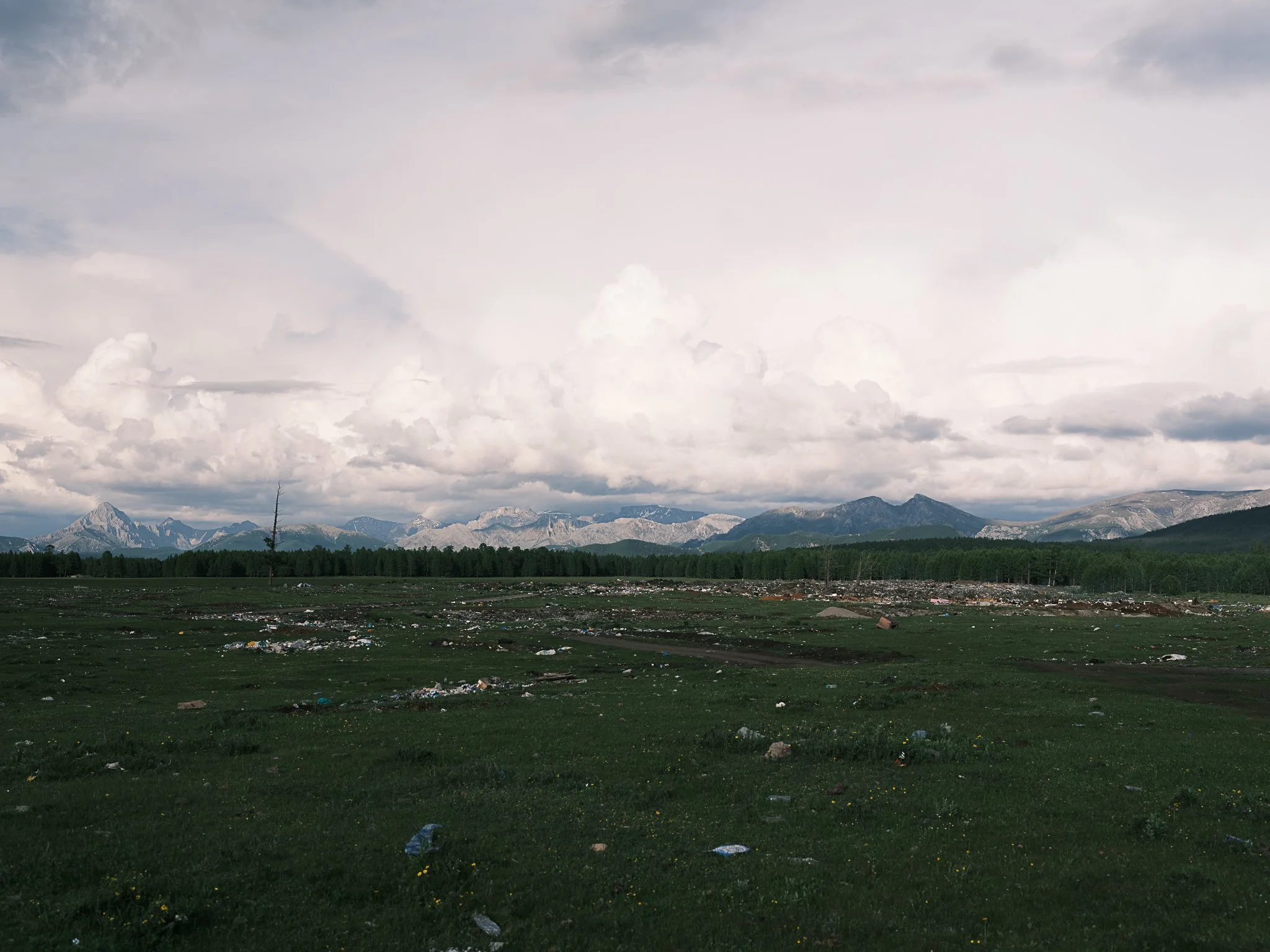 Complicated Landscapes.jpg